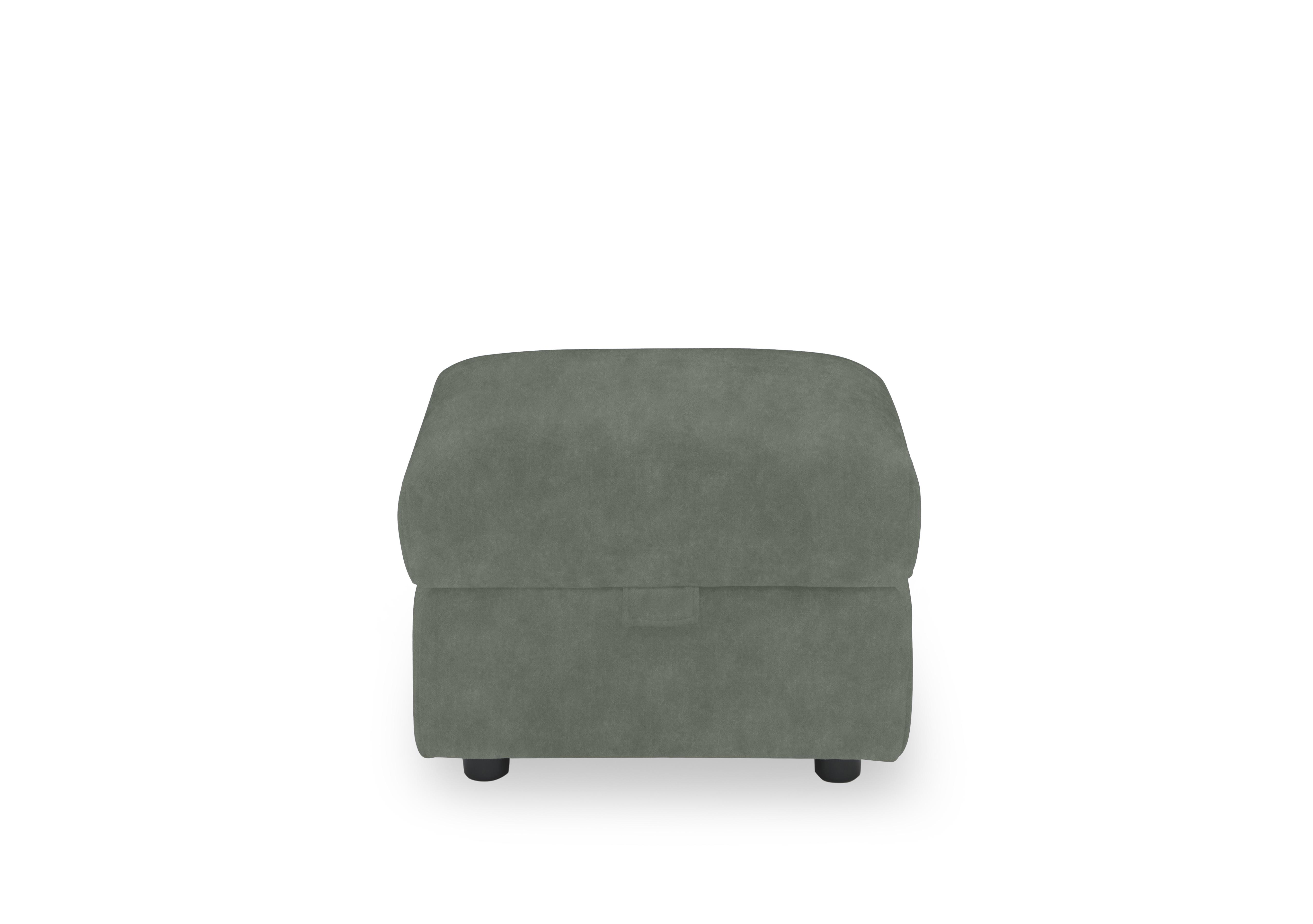 Panache Fabric Storage Footstool in Dexter Fern 43514 on Furniture Village