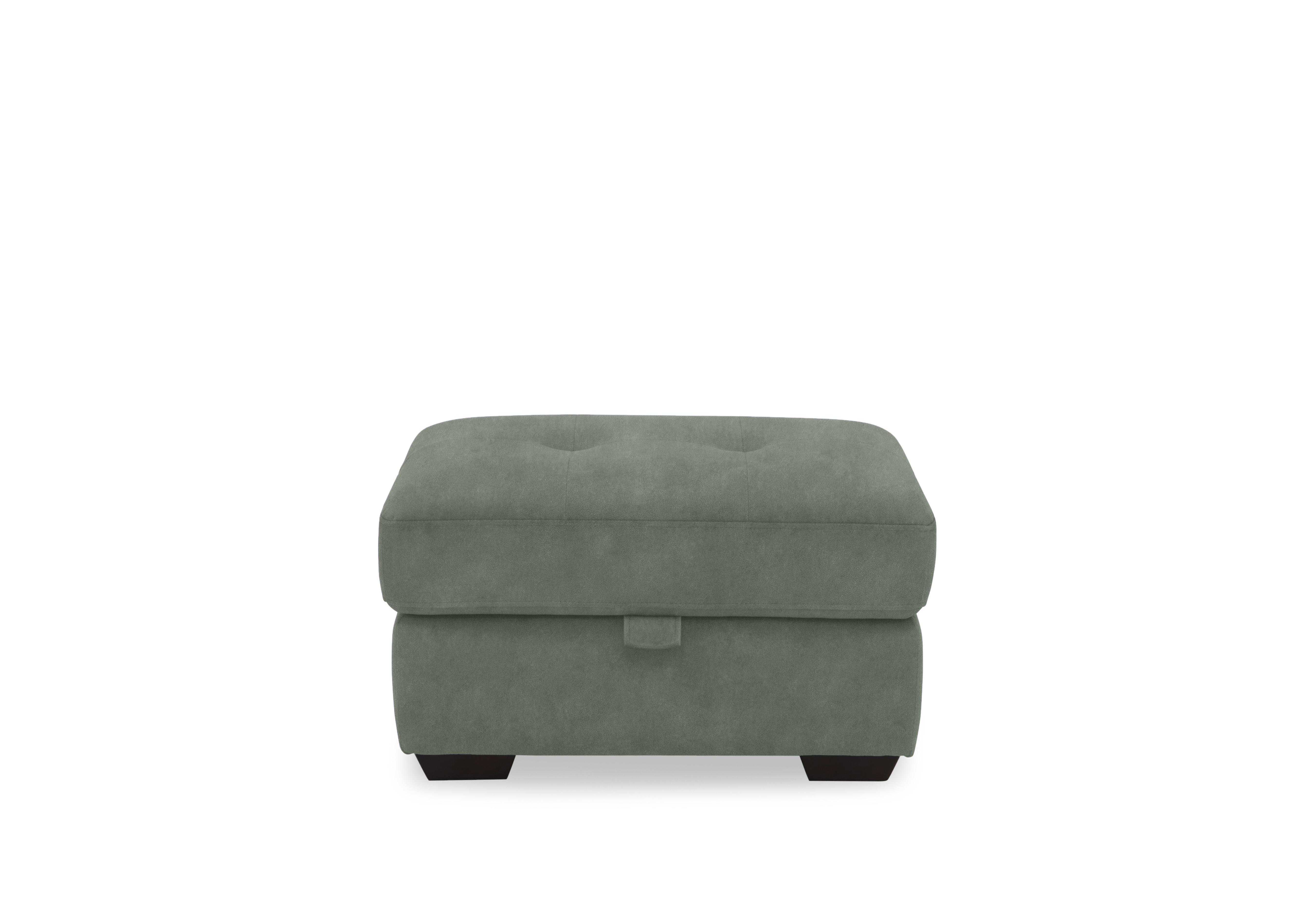 Dinky Fabric Large Storage Footstool in Dexter Fern 43514 on Furniture Village