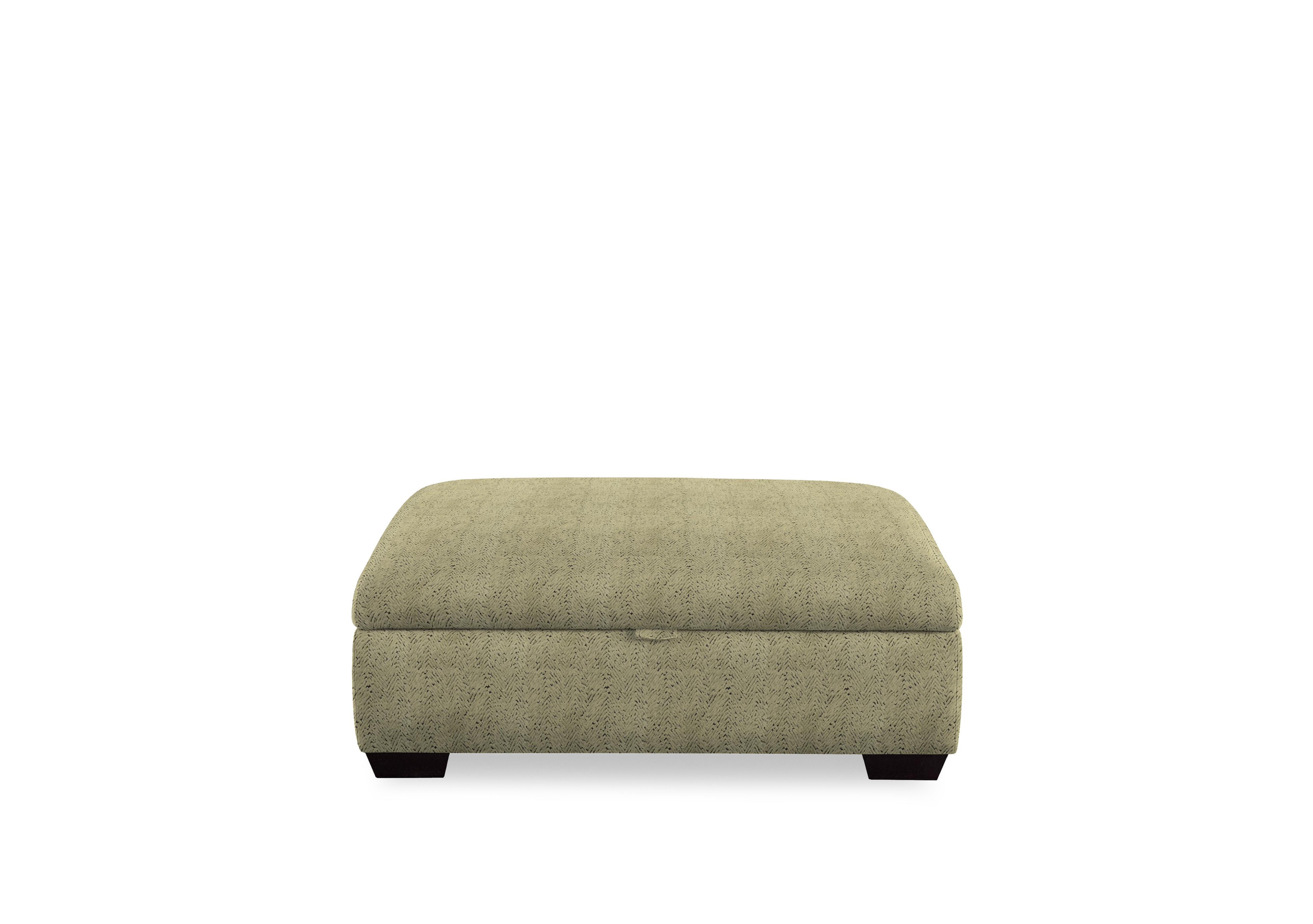 Plaza Storage Footstool in Arcata Moss Mgy on Furniture Village