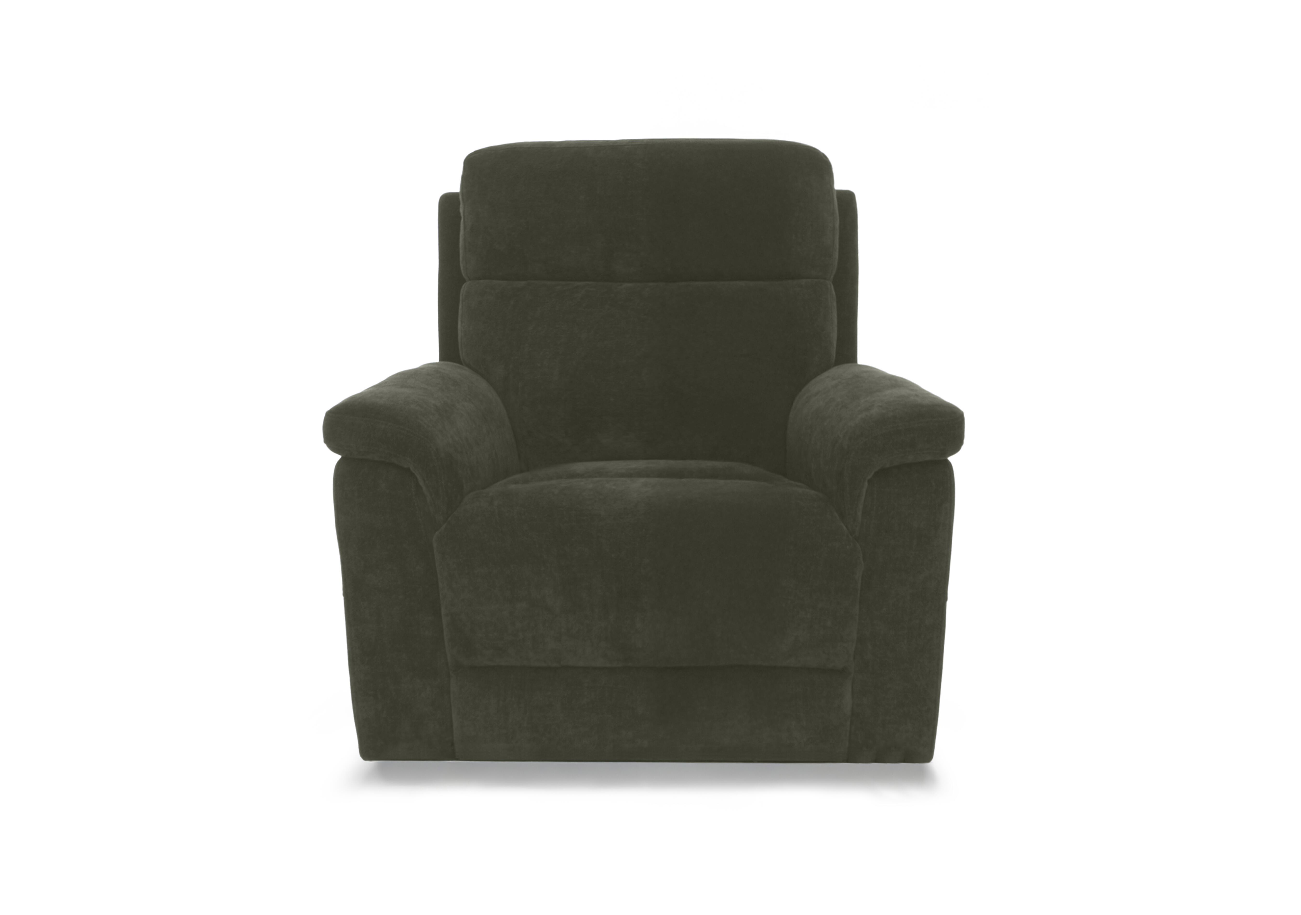 Raven Fabric Chair in Hudson Pine 25355 on Furniture Village