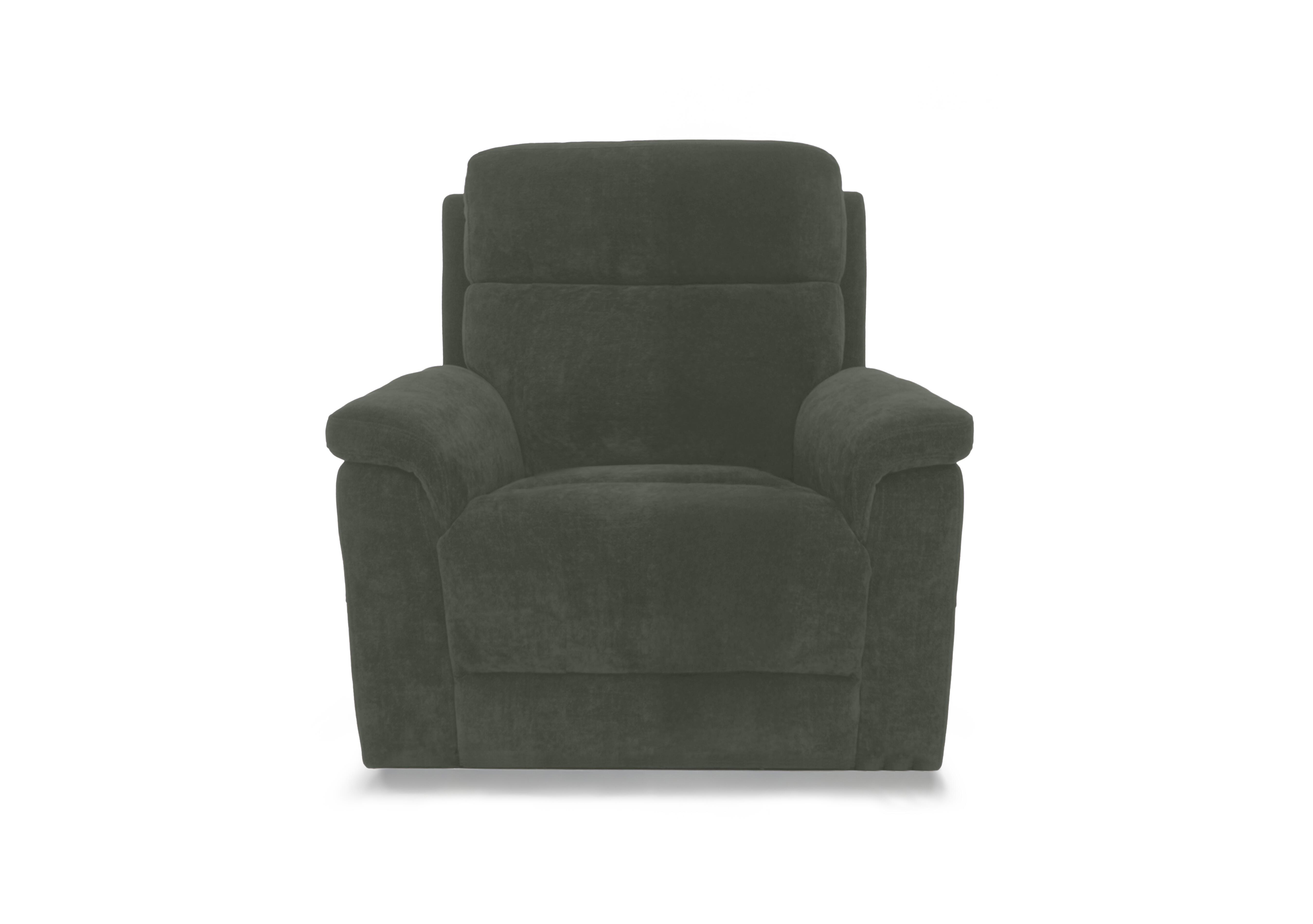 Raven Fabric Chair in Manhattan Pine 58001 on Furniture Village