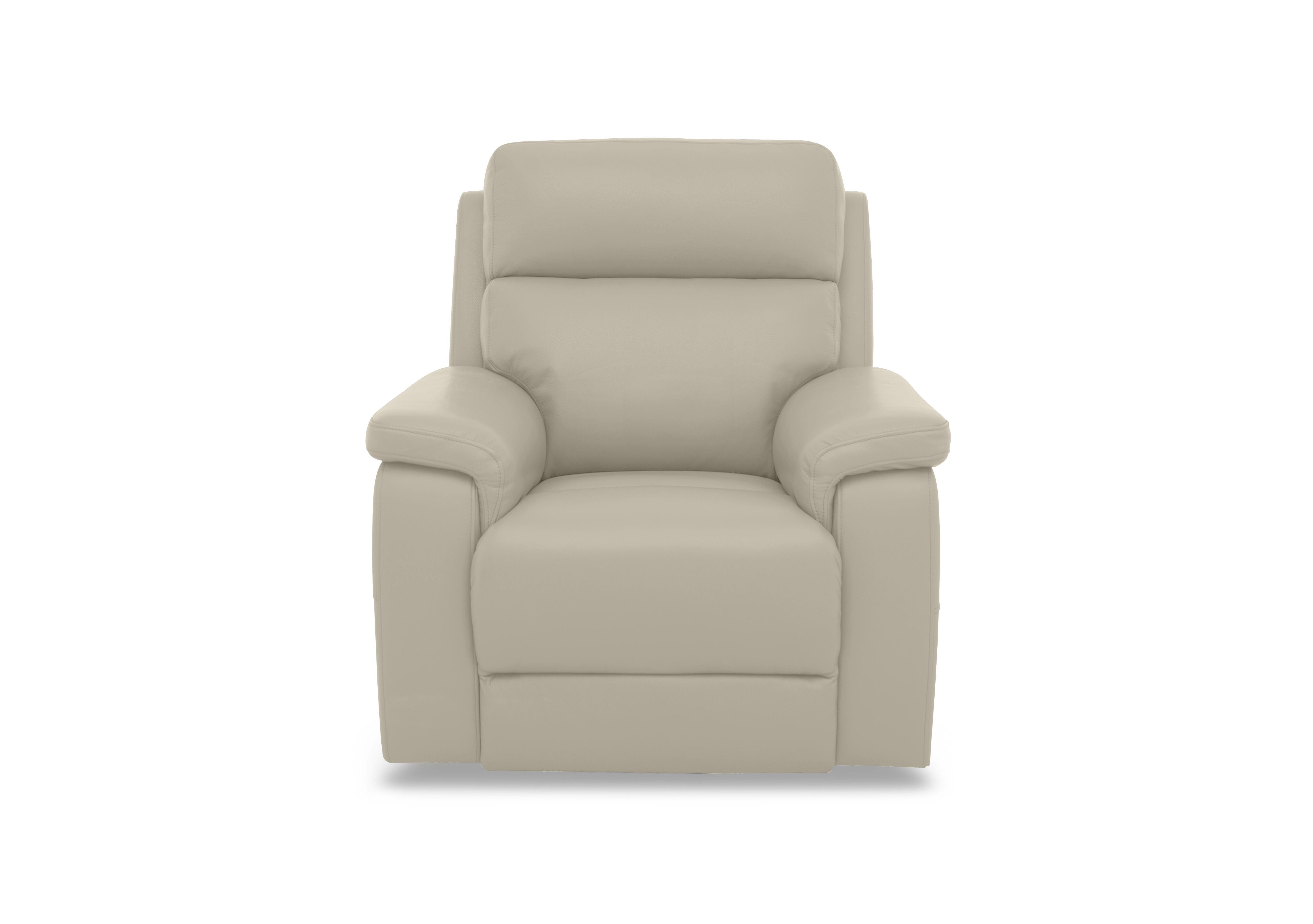 Raven Leather Chair in Montana Bone China Cat-60/05 on Furniture Village