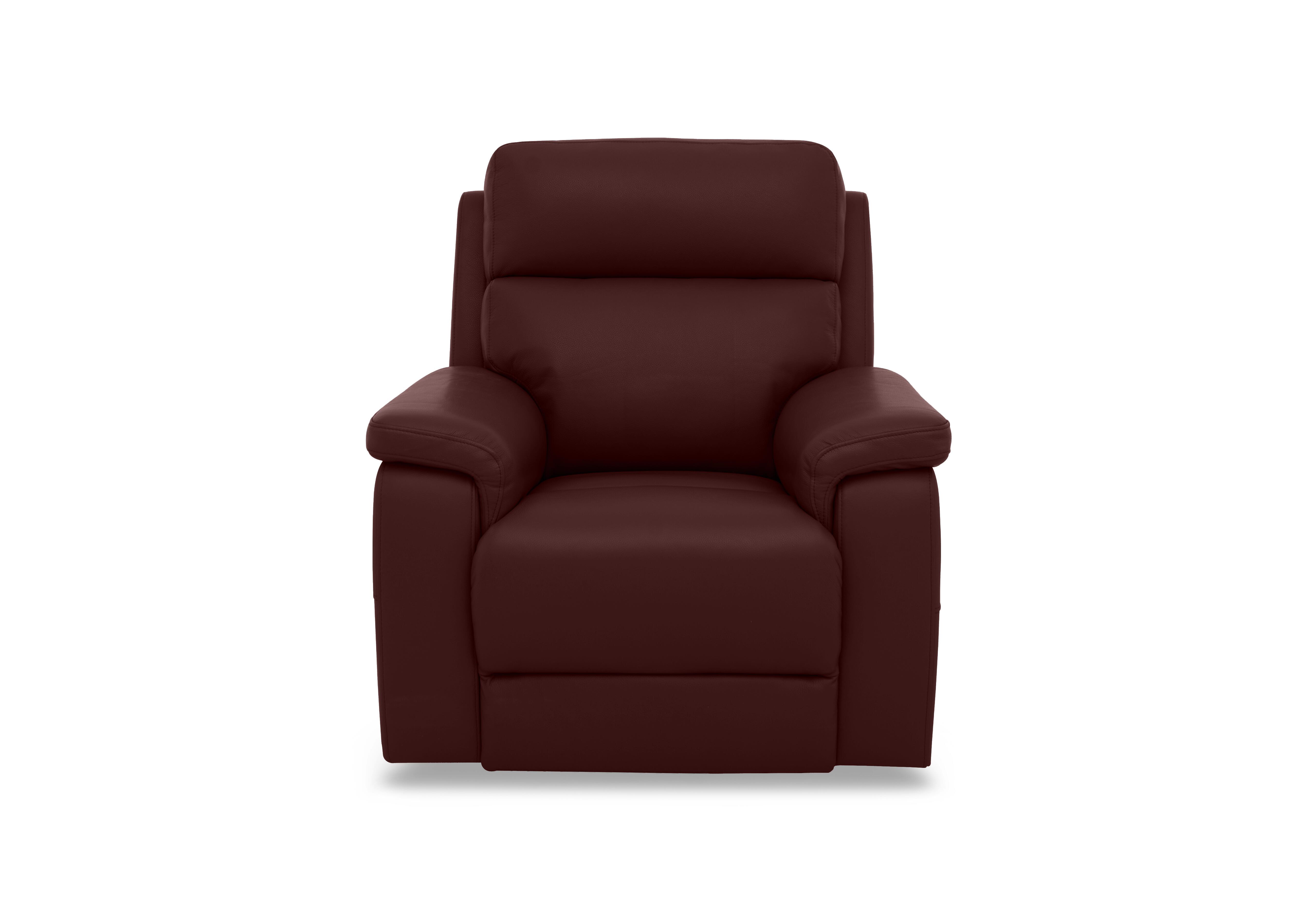 Raven Leather Chair in Montana Ruby Cat-60/15 on Furniture Village