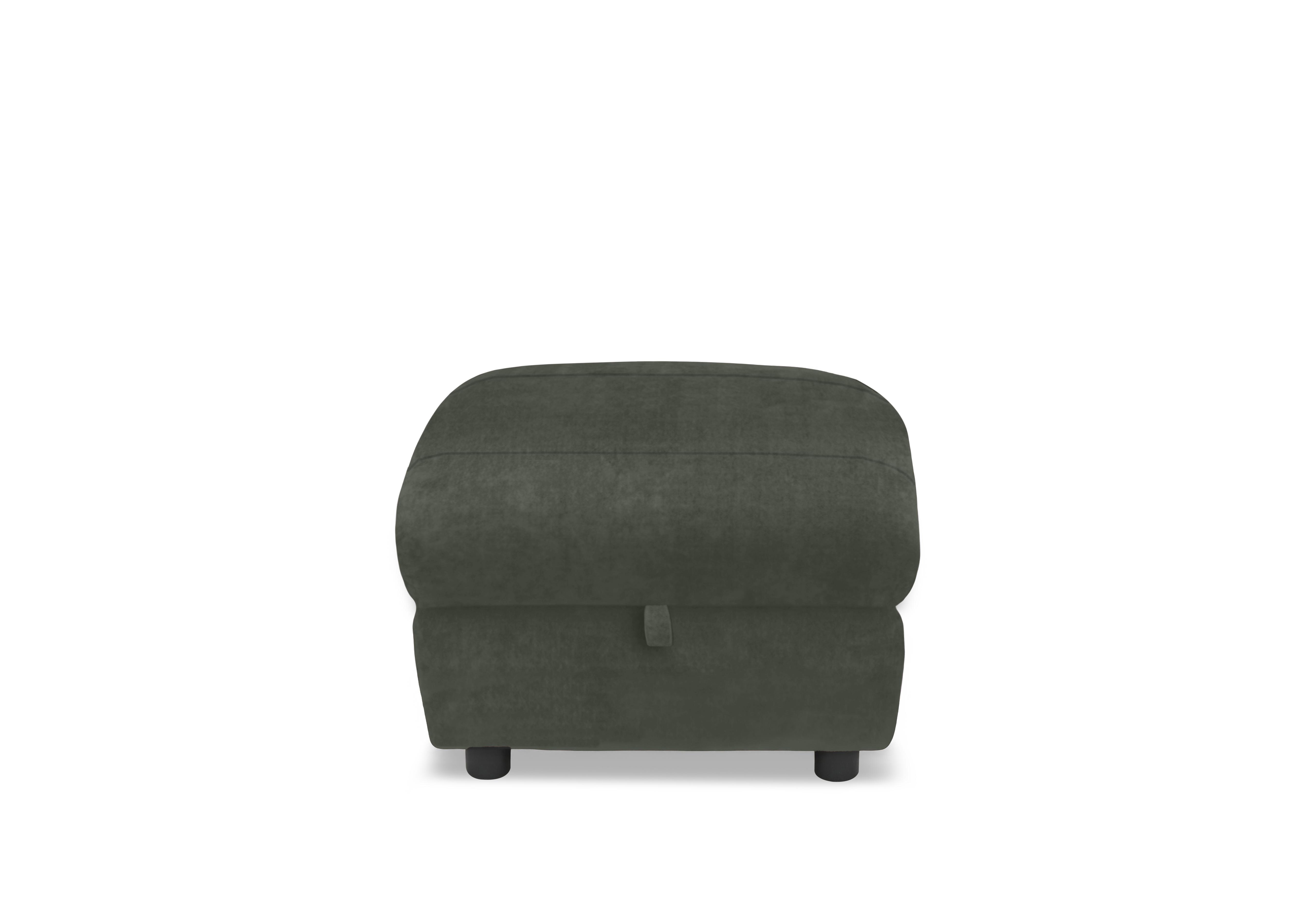 Raven Fabric Storage Footstool in Manhattan Pine 58001 on Furniture Village
