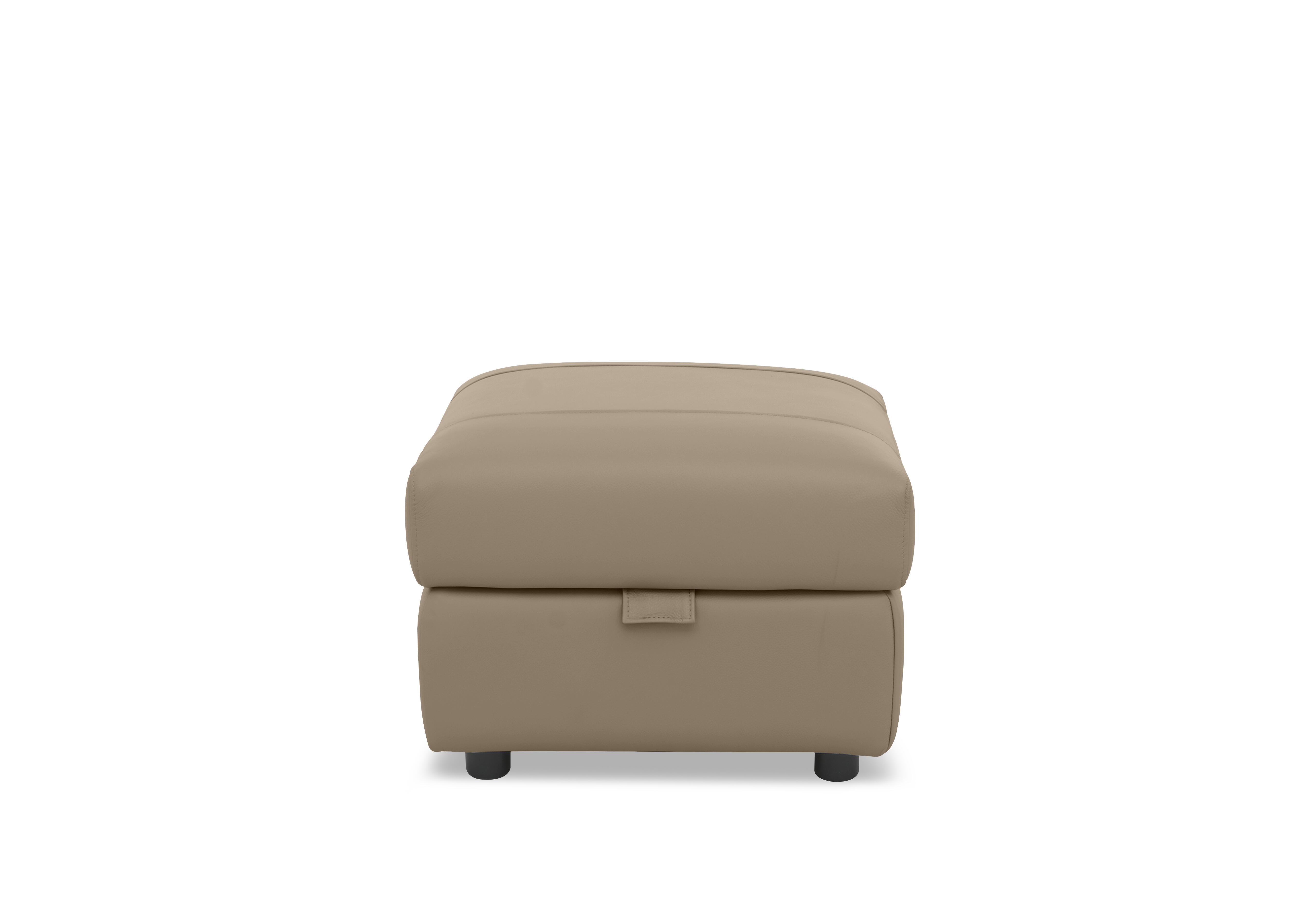 Raven Leather Storage Footstool in Montana Barley Cat-60/06 on Furniture Village