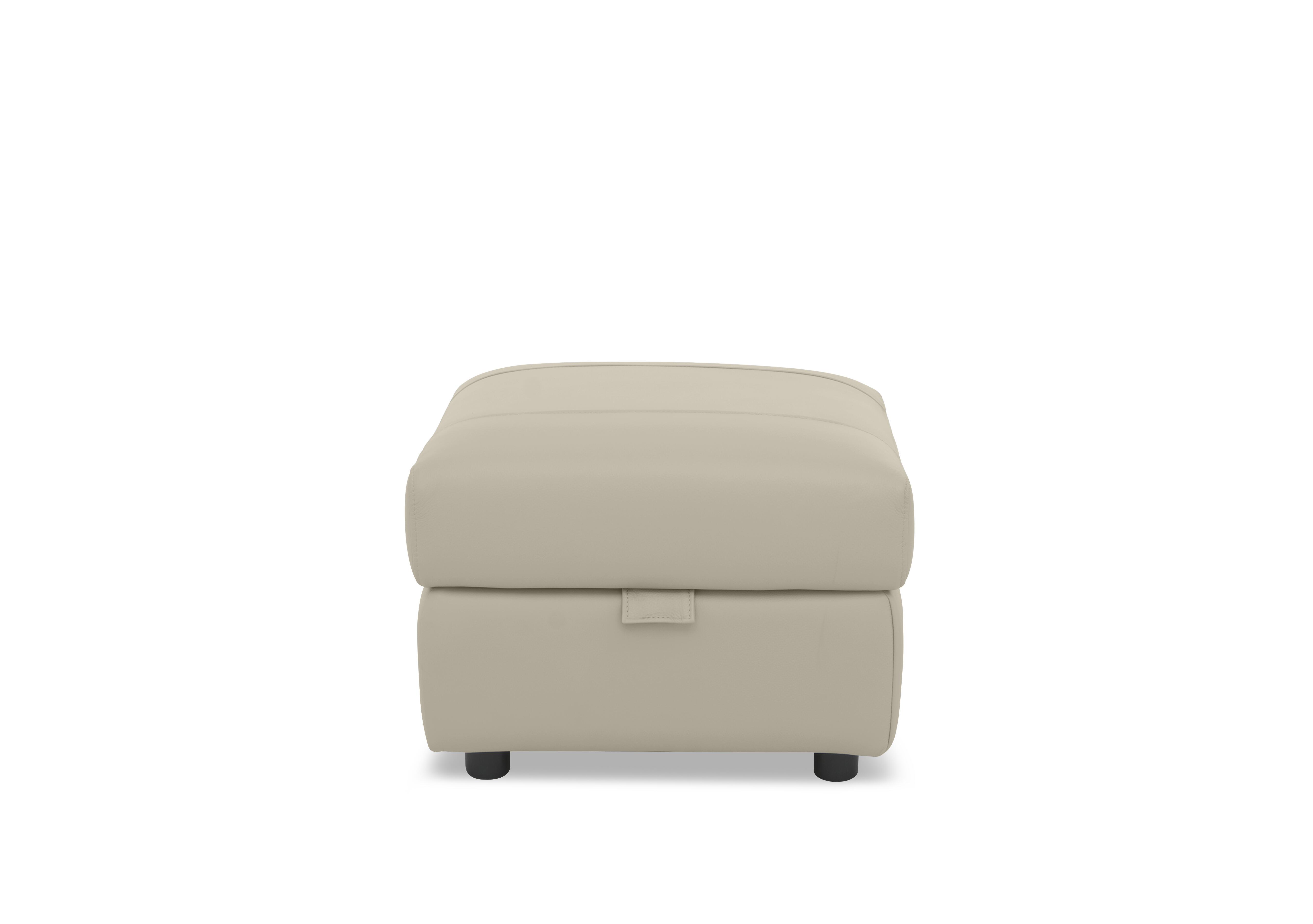 Raven Leather Storage Footstool in Montana Bone China Cat-60/05 on Furniture Village