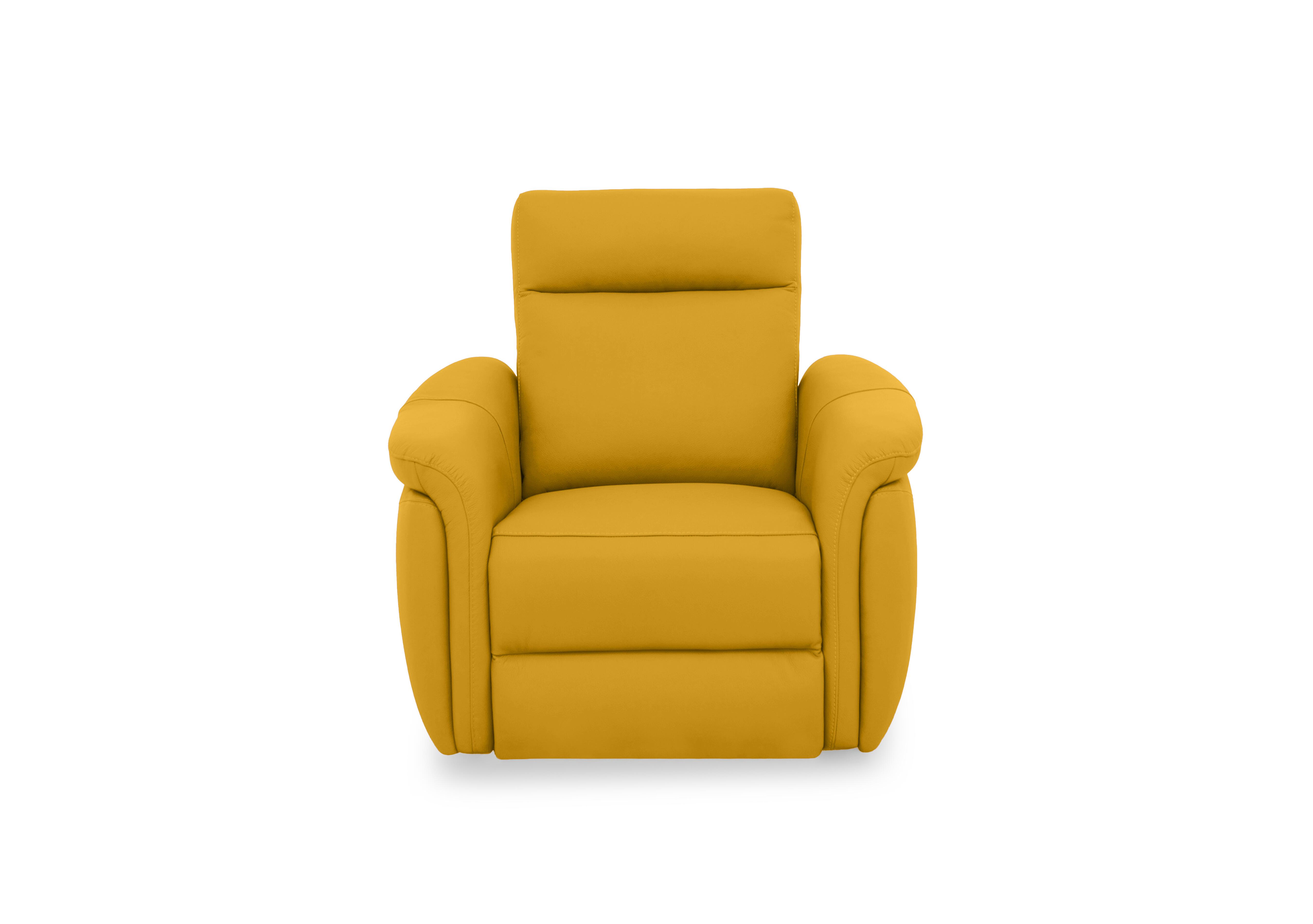 Dublin Leather Armchair in Giallo Le-9310 on Furniture Village