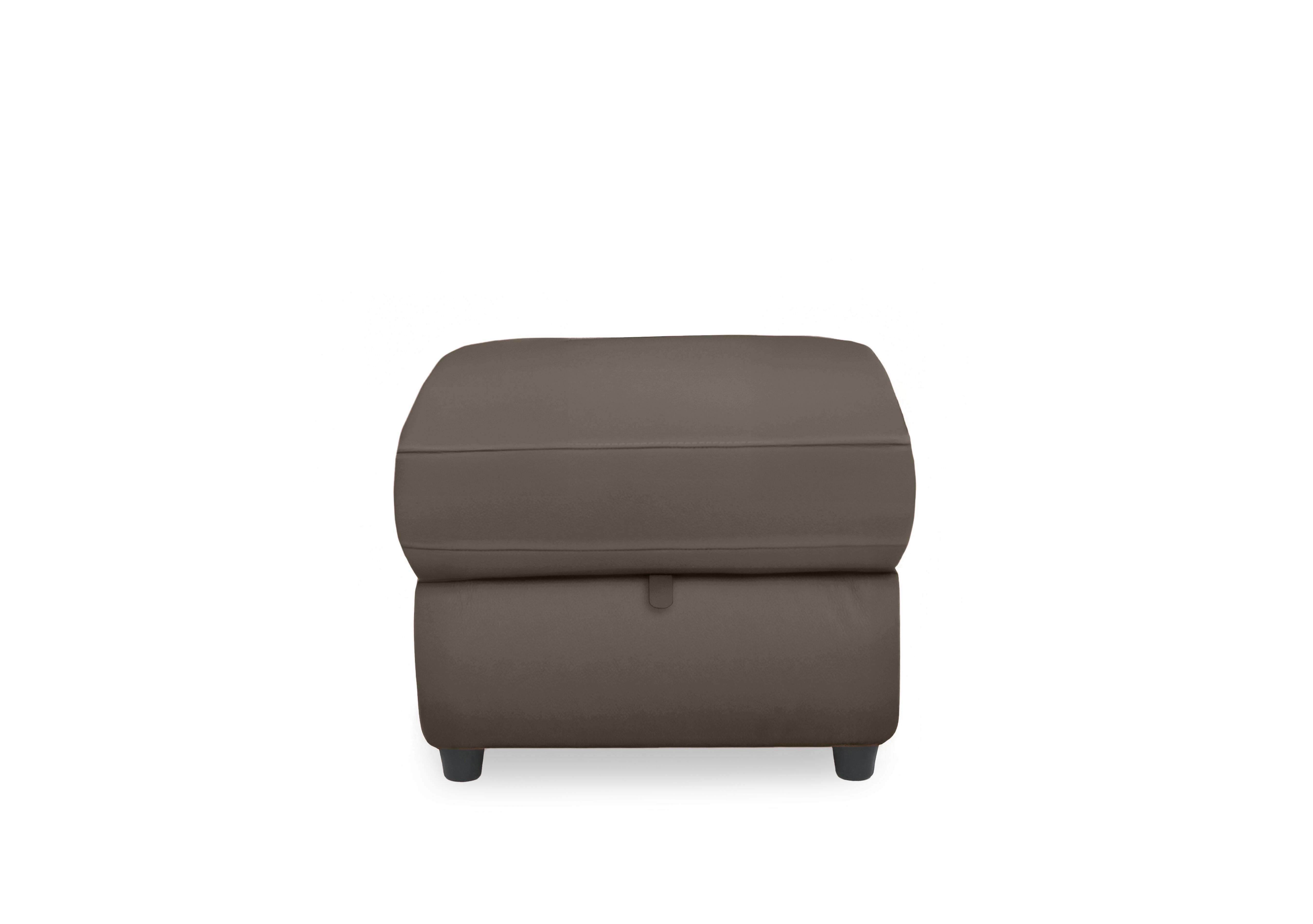 Dublin Leather Storage Footstool in Natural Olive La-4829 on Furniture Village