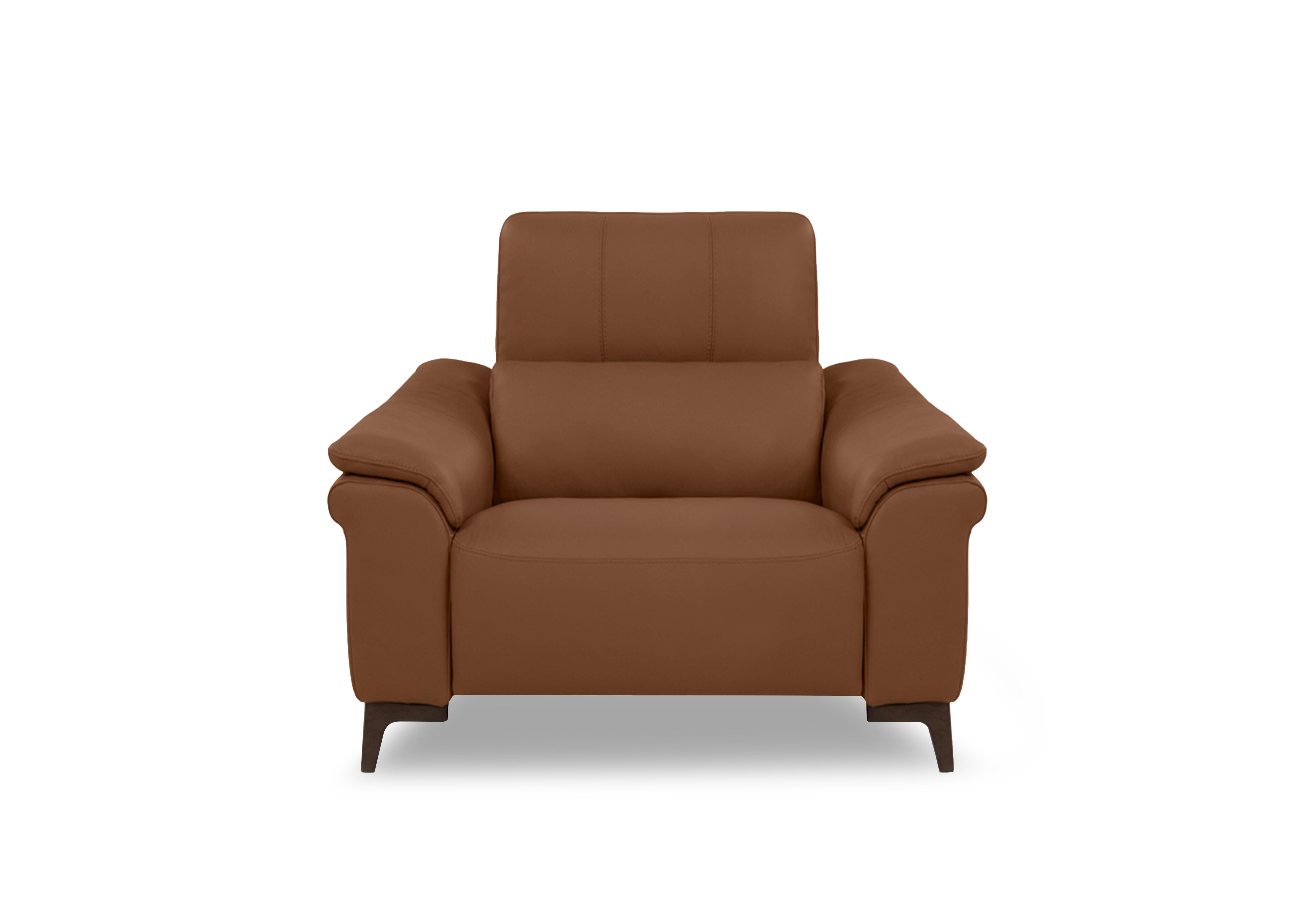 Marconi Leather Armchair in Torello Cuoio 372 Rw on Furniture Village