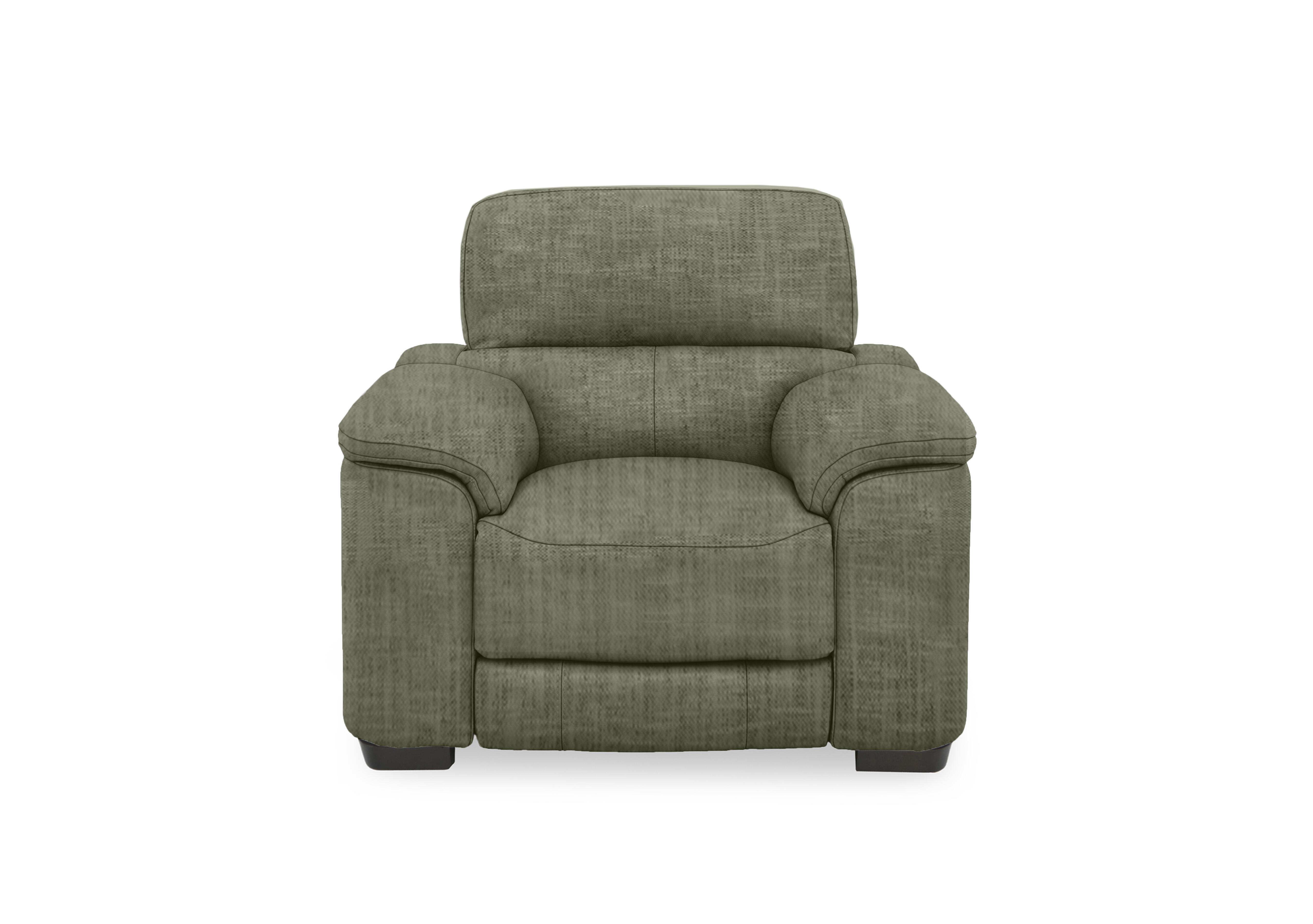 Nova Fabric Chair in Fab-Mga-R11 Olive Green on Furniture Village