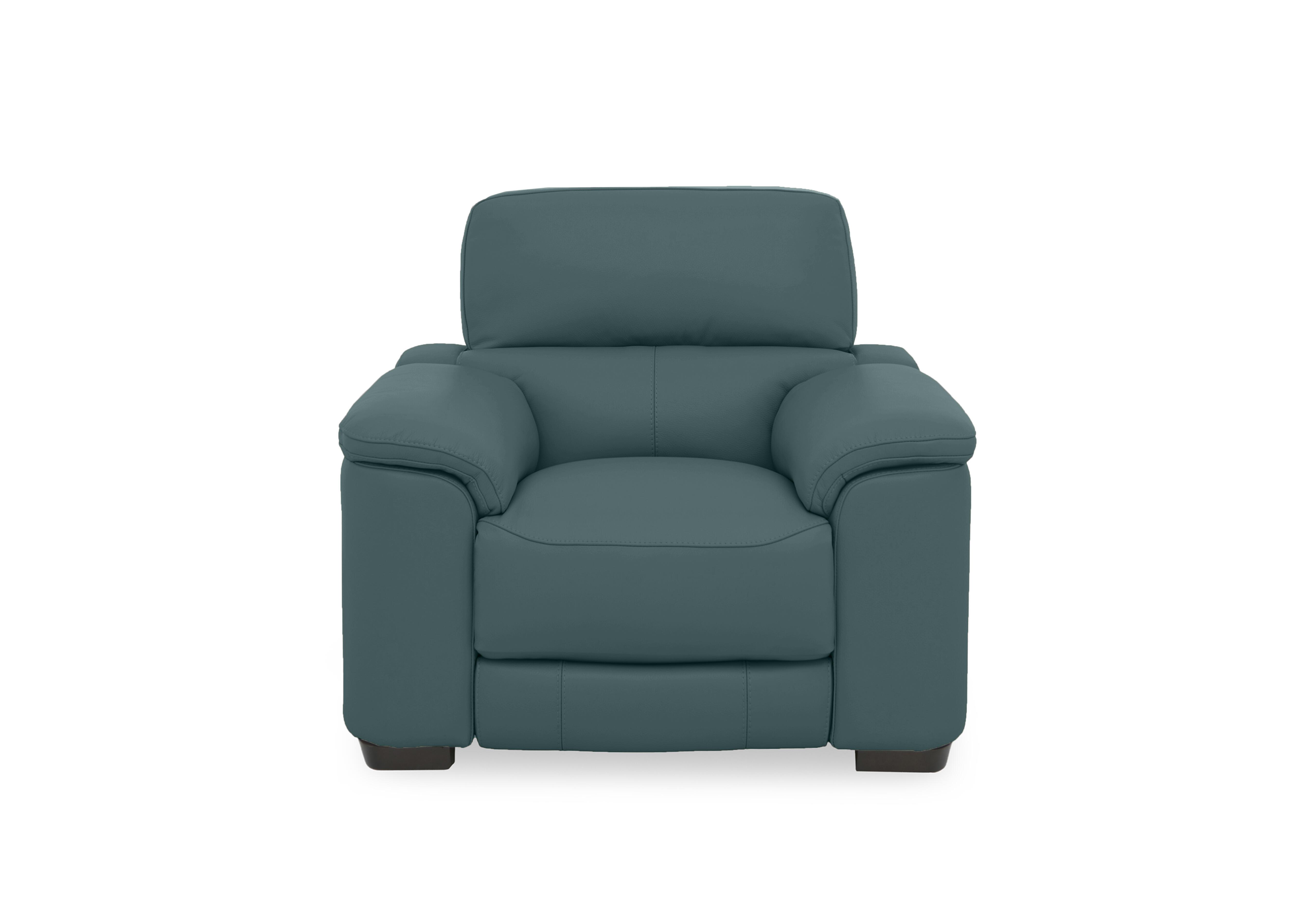 Nova Leather Chair in Bv-301e Lake Green on Furniture Village