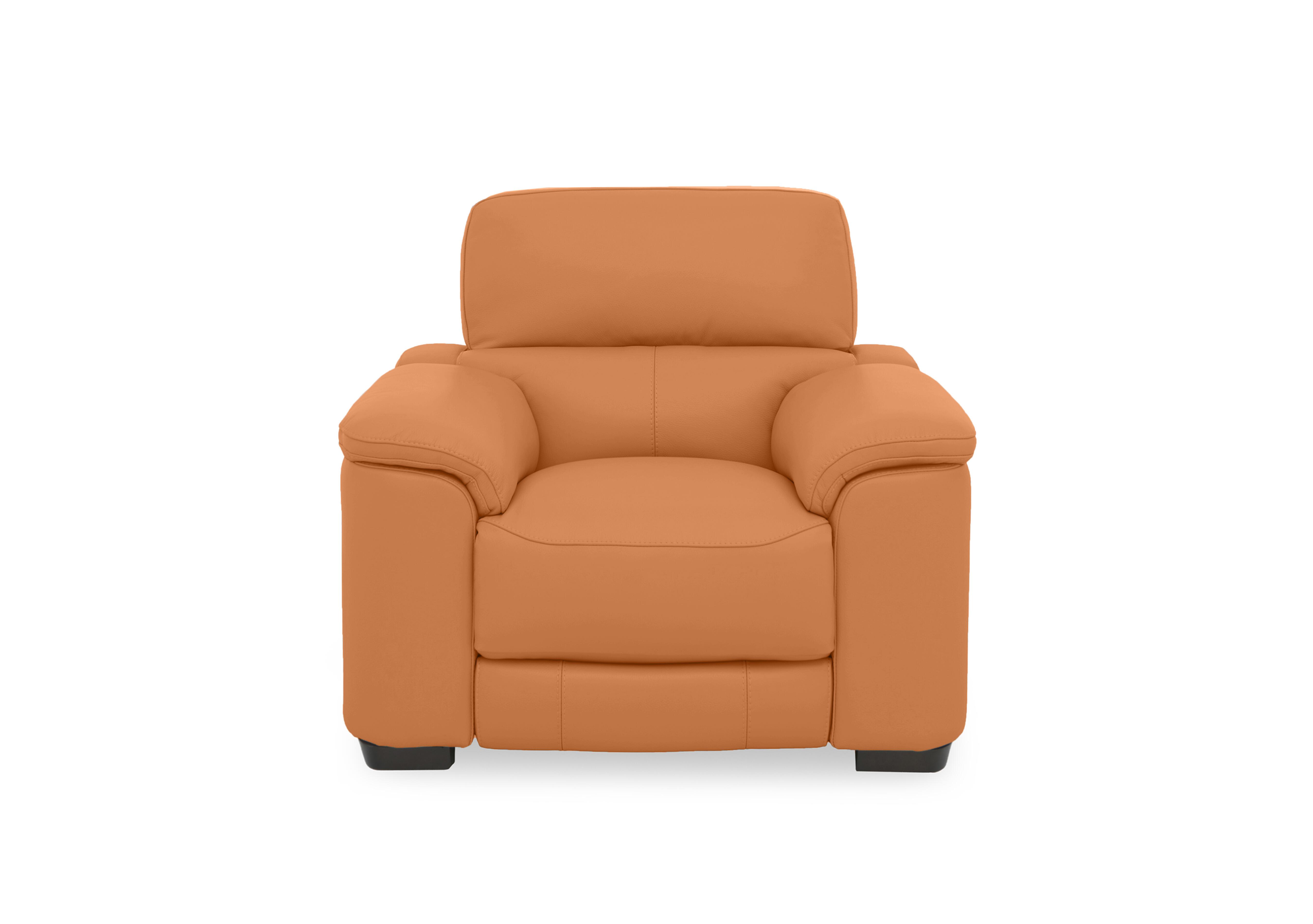 Nova Leather Chair in Bv-335e Honey Yellow on Furniture Village
