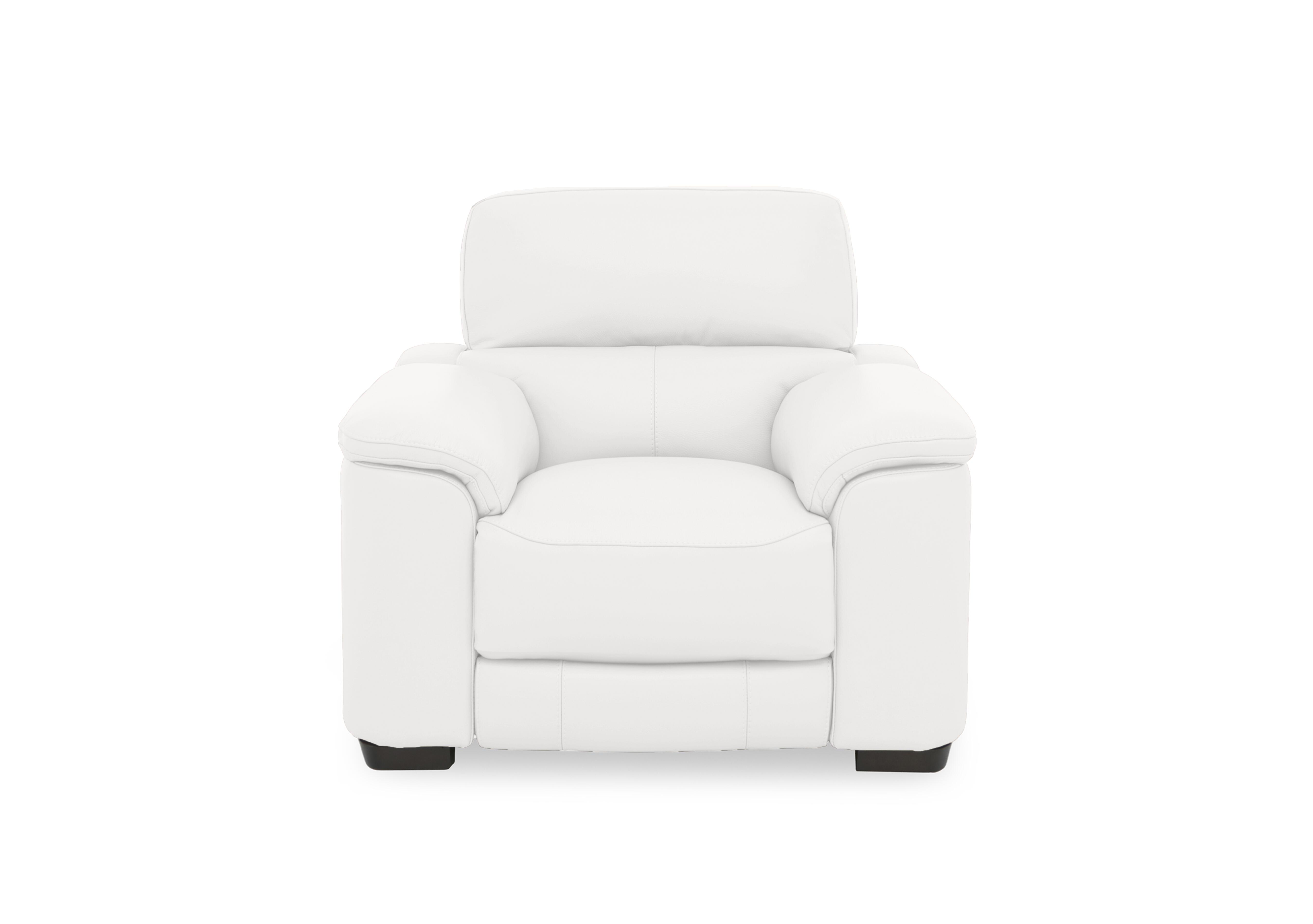 Nova Leather Chair in Bv-744d Star White on Furniture Village