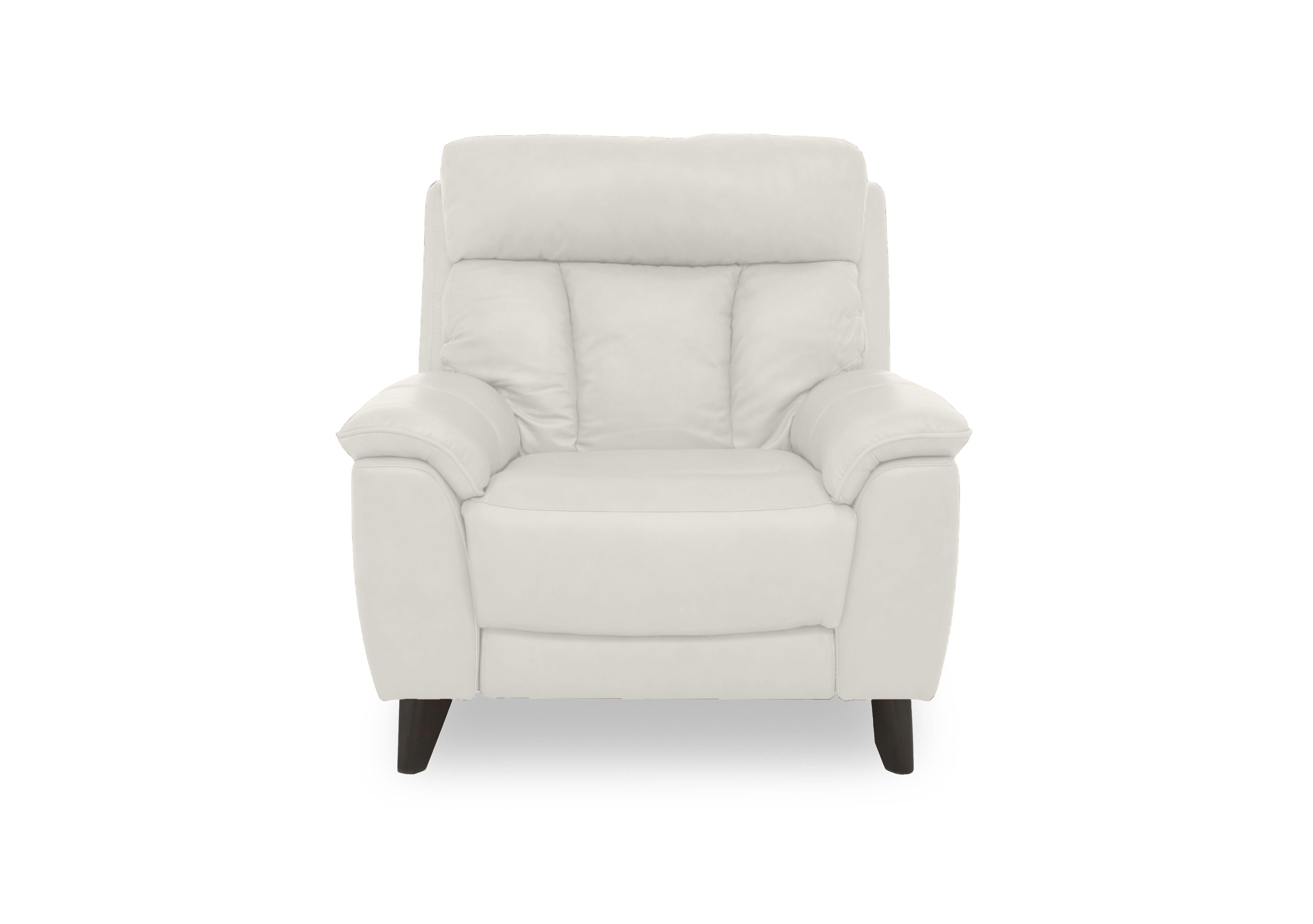 Dreamer Leather Power Recliner Chair with Power Headrest in Nc-156e Frost on Furniture Village