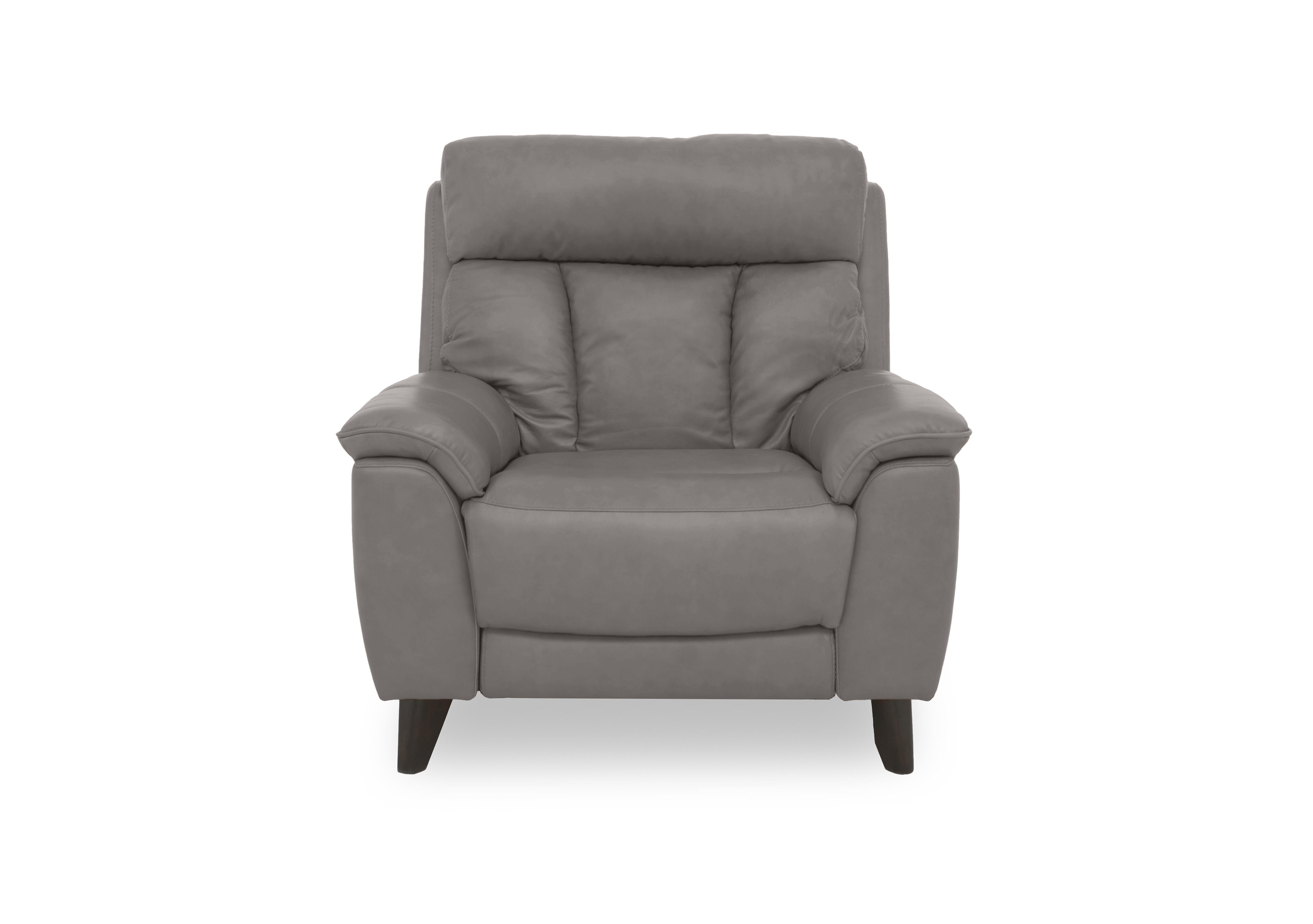 Dreamer Leather Armchair in Bv-042e Elephant on Furniture Village