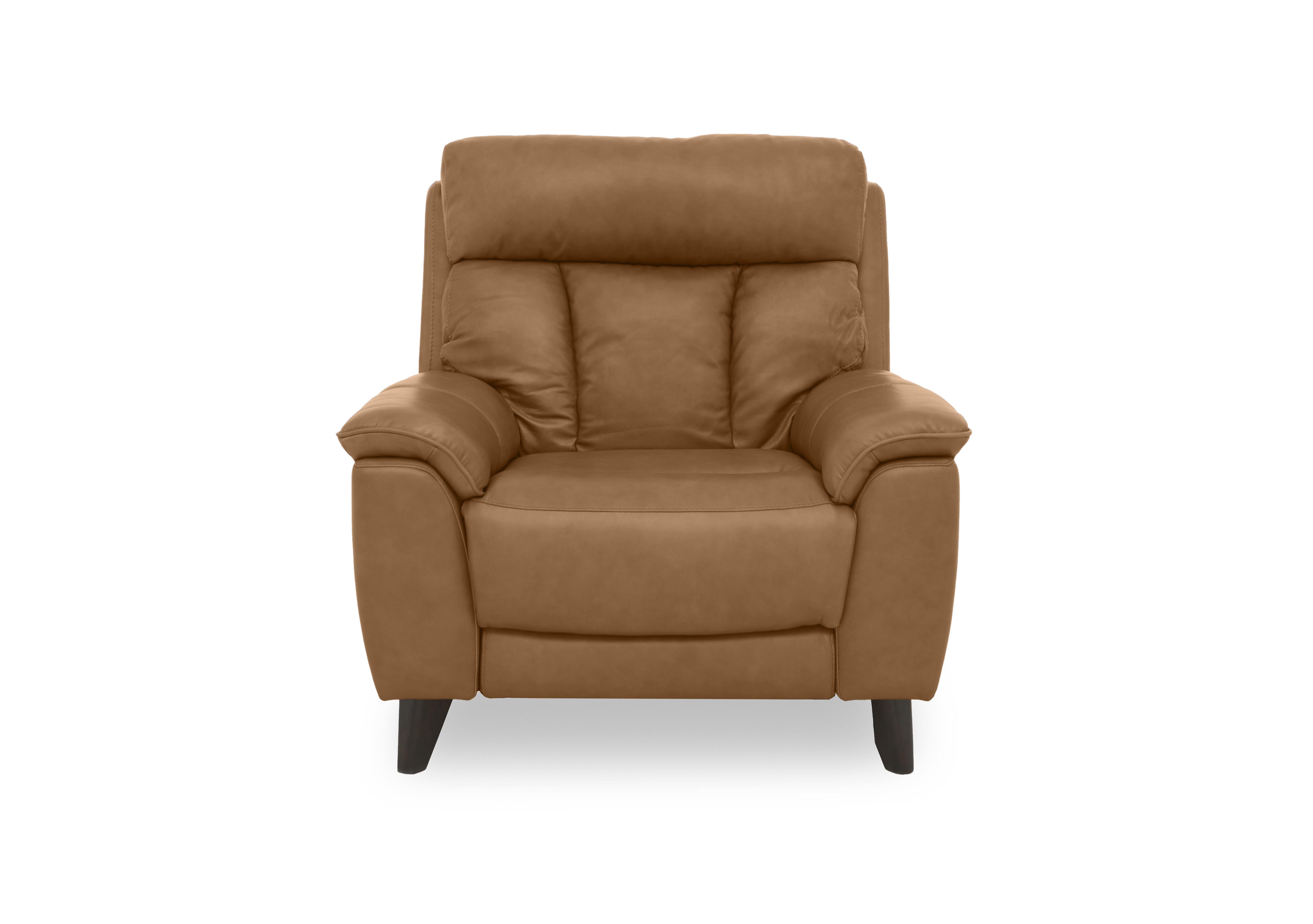 Dreamer Leather Armchair in Ca-700e Cognac on Furniture Village