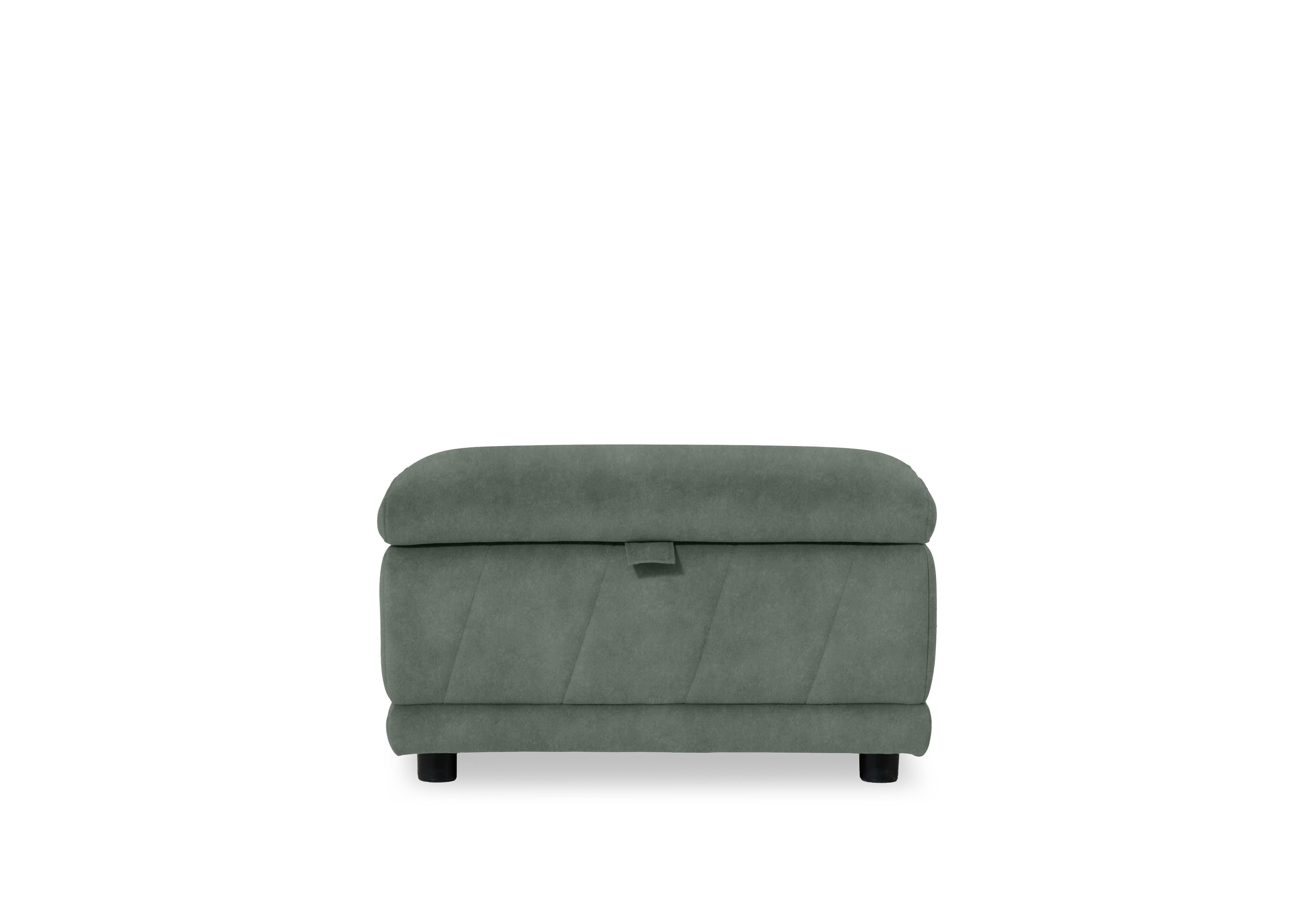 Genius Fabric Storage Footstool in Dexter Fern 43514 on Furniture Village