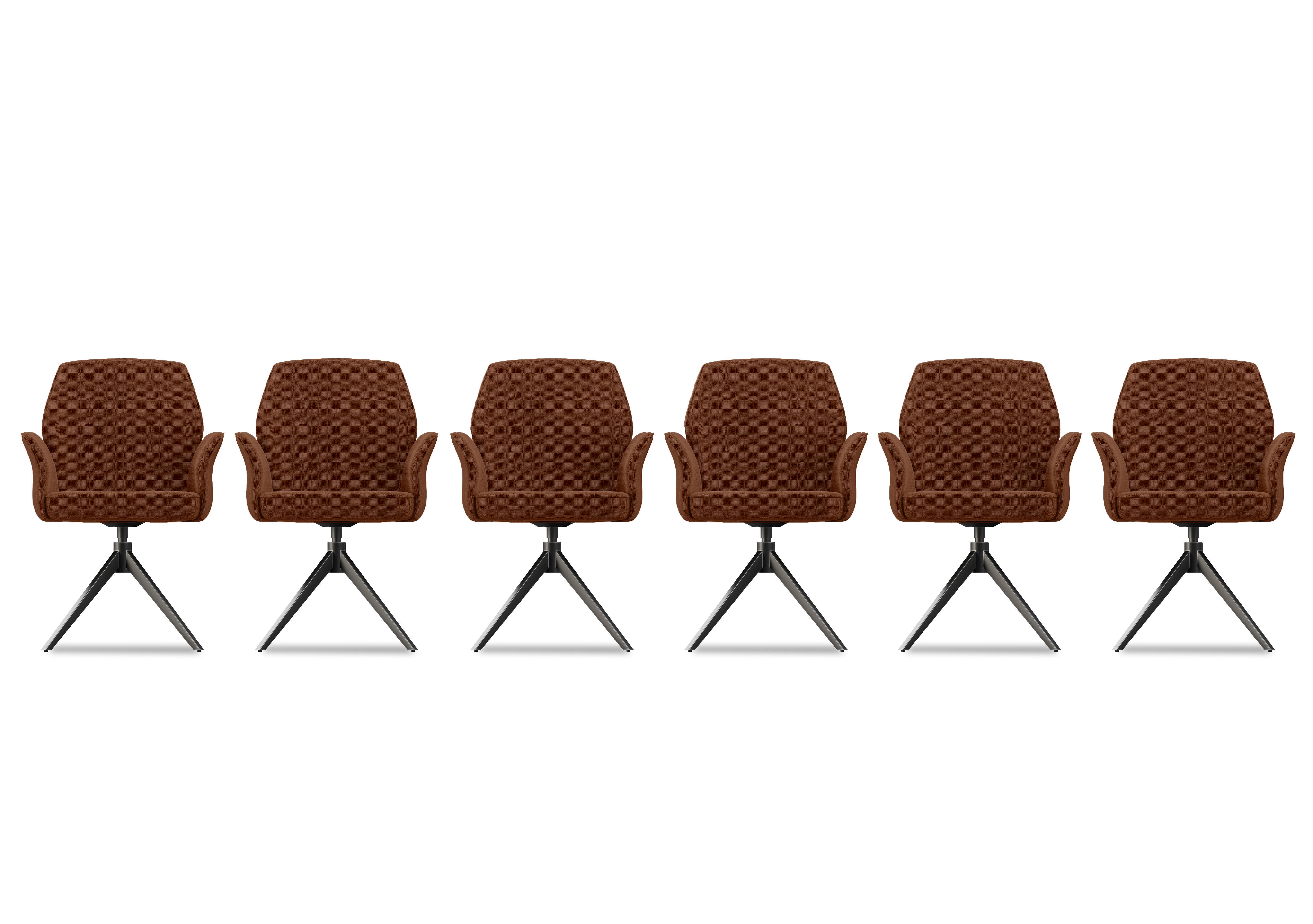 Julio Set of 6 Dining Arm Chairs in Te2 Terracotta on Furniture Village