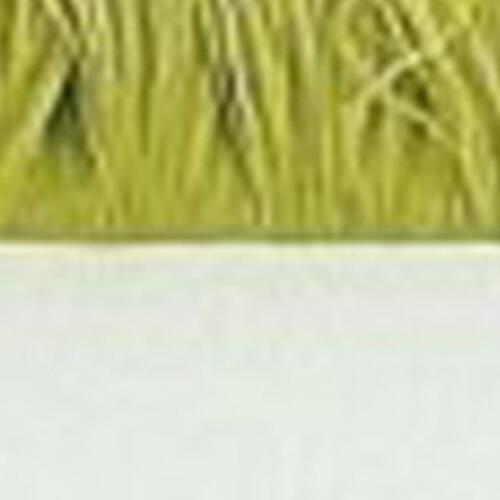 Fringed Hugo Large Cushion in Green on Furniture Village
