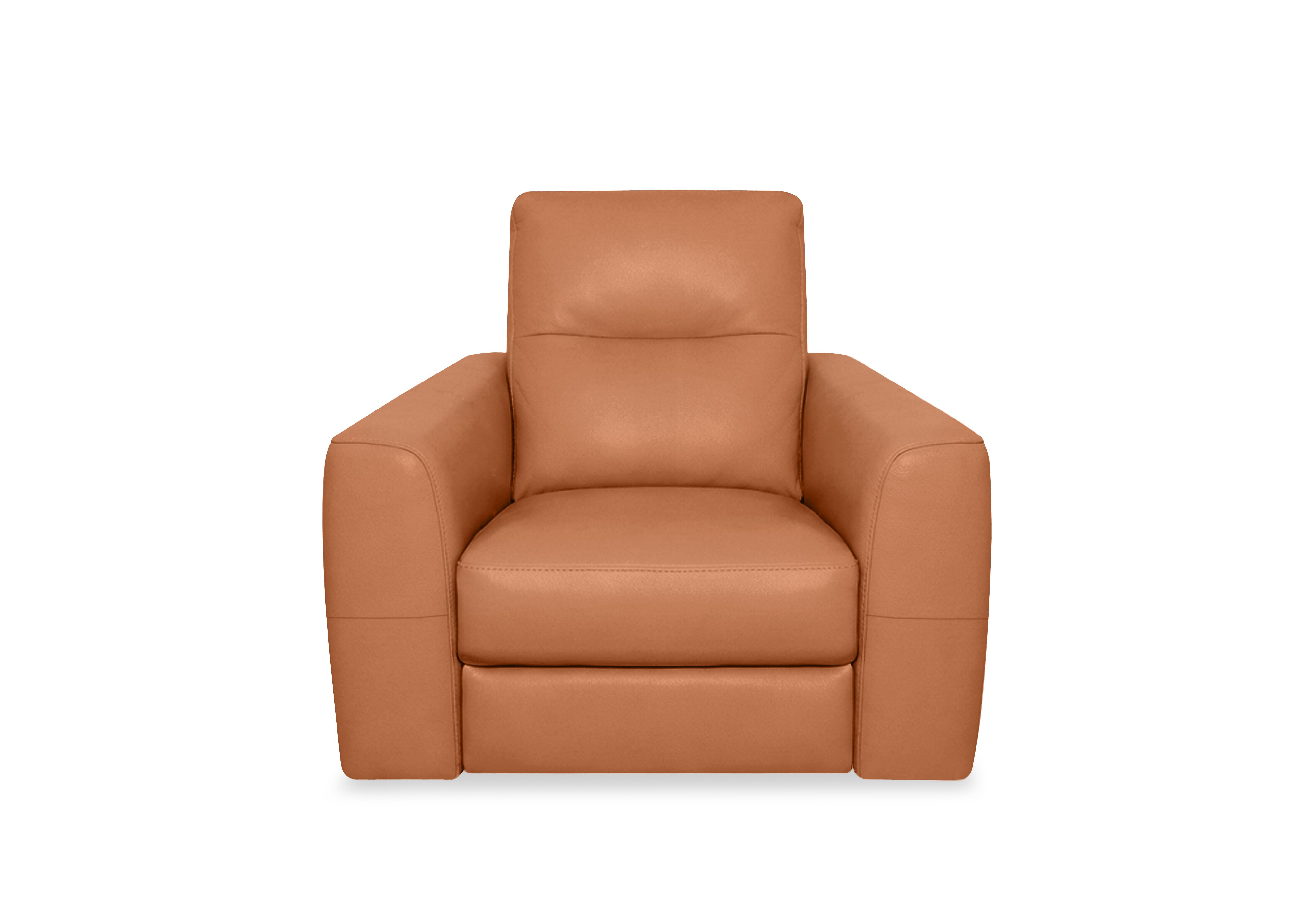 Nest Leather Chair in Nc-334e Pecan Brown on Furniture Village