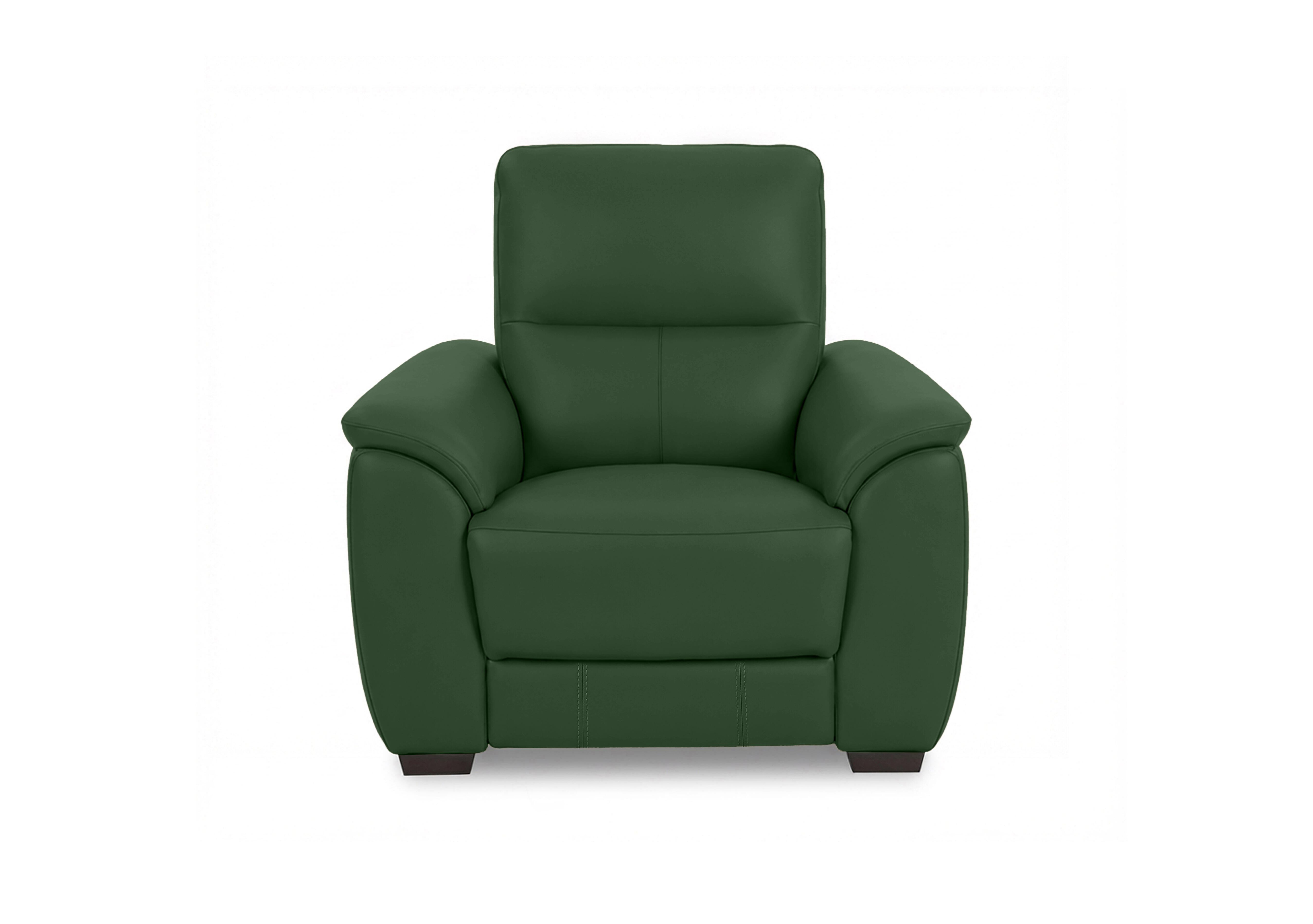 Saffron Leather Chair in Bv-371e Chive Green on Furniture Village