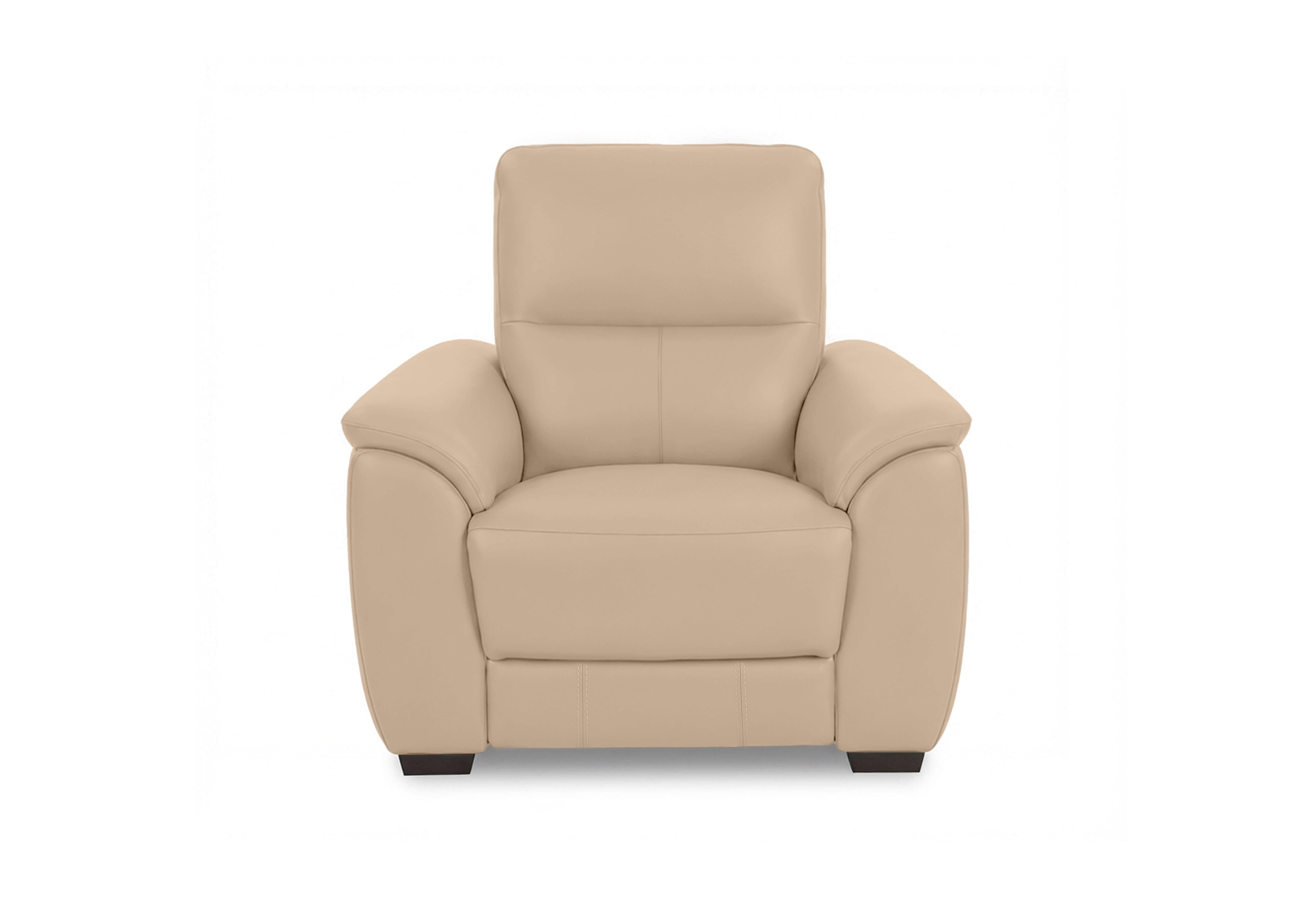 Saffron Leather Chair in Bv-8475 Nude on Furniture Village