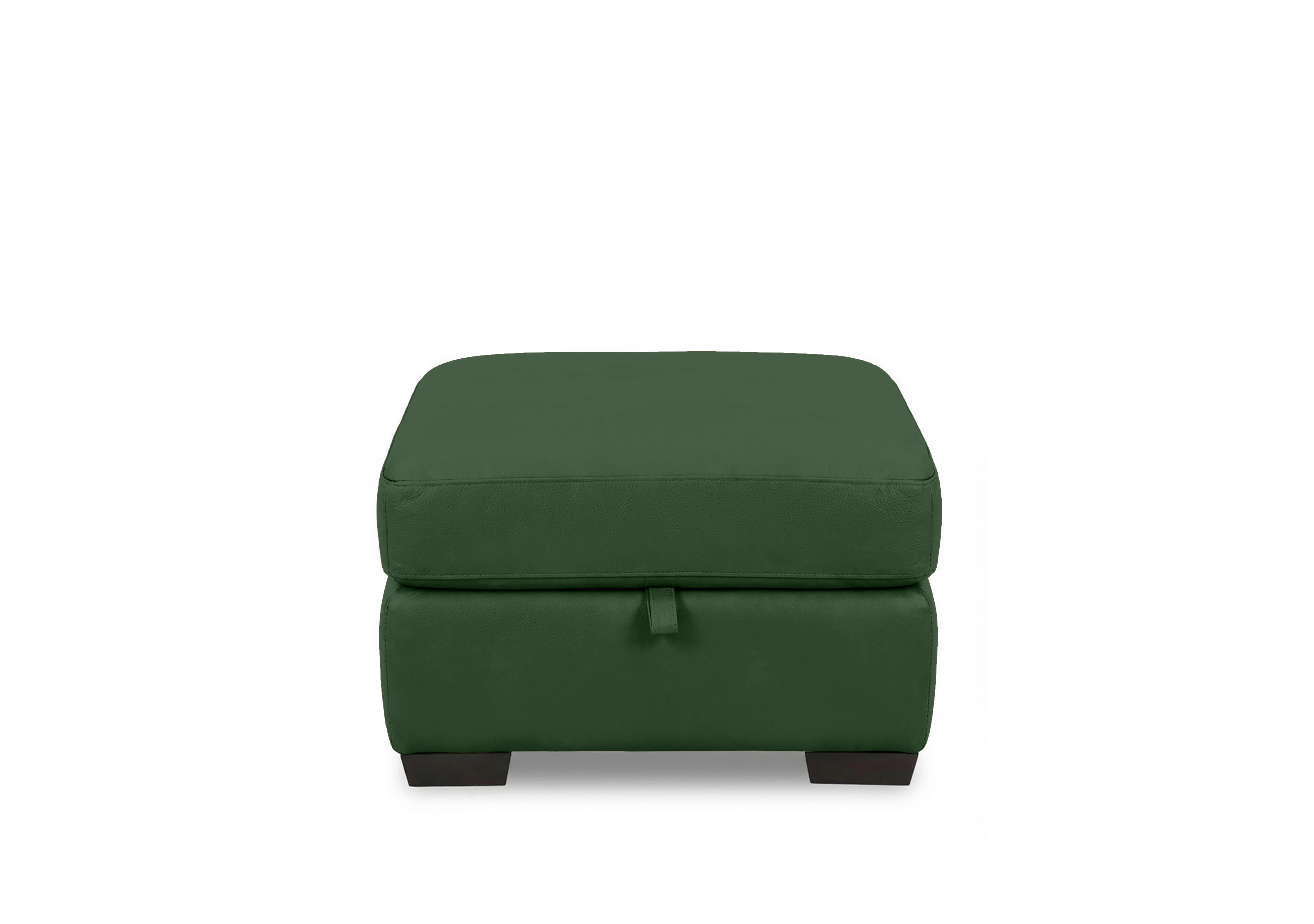 Saffron Leather Storage Footstool in Bv-371e Chive Green on Furniture Village