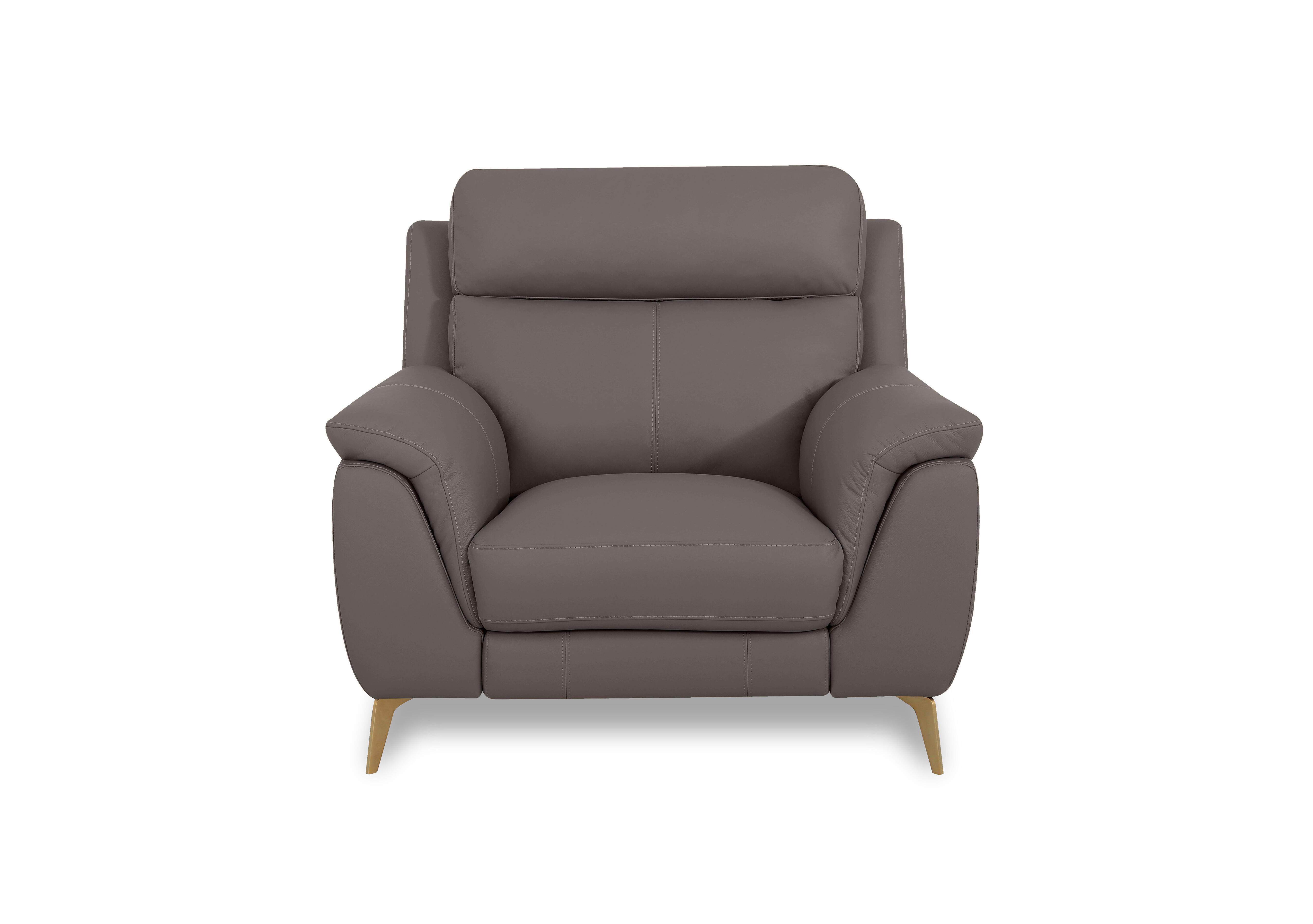 Eclipse Leather Chair in Nw-042e Elephant Br on Furniture Village