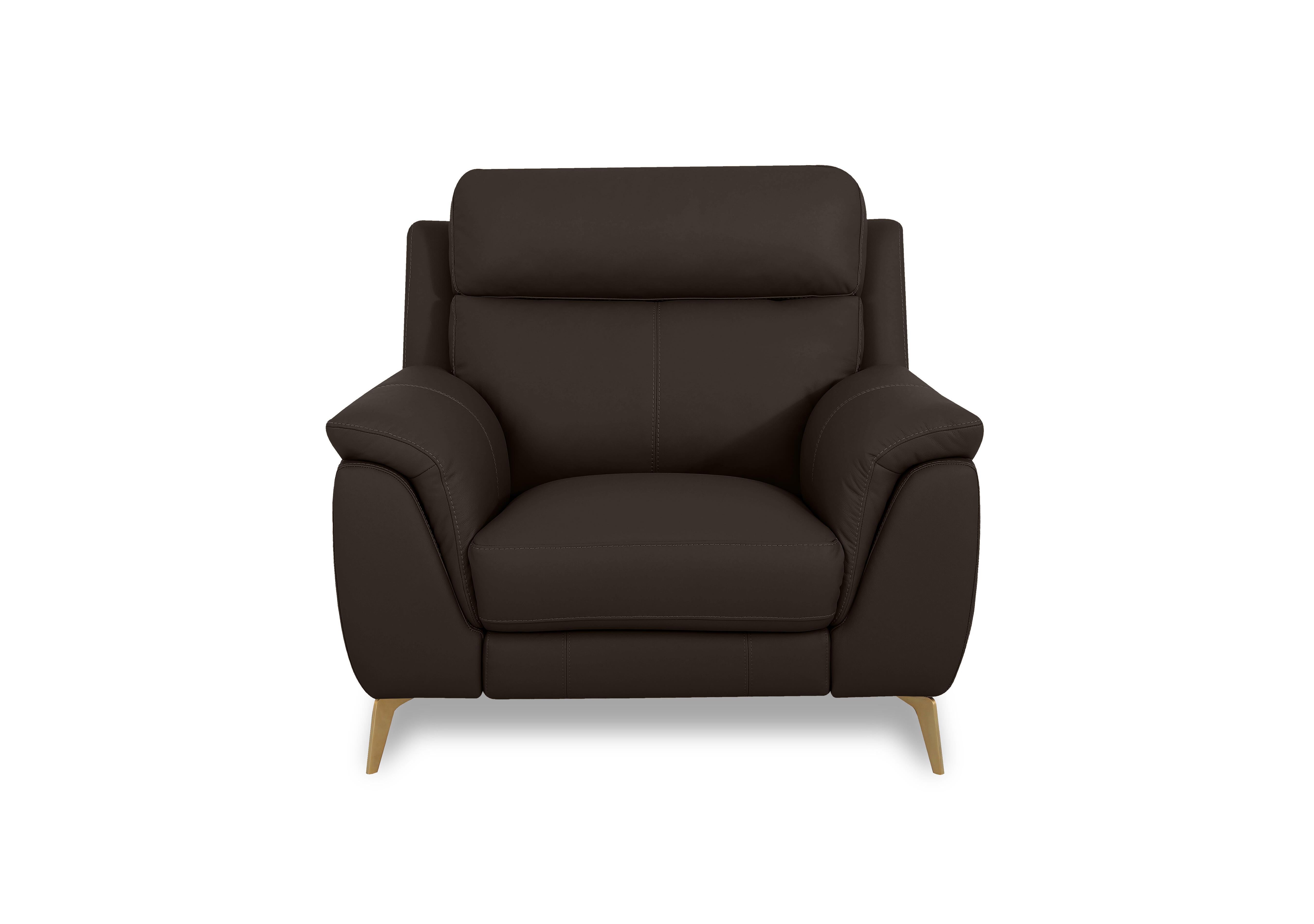 Eclipse Leather Chair in Nw-1748 Dk Choco Br on Furniture Village