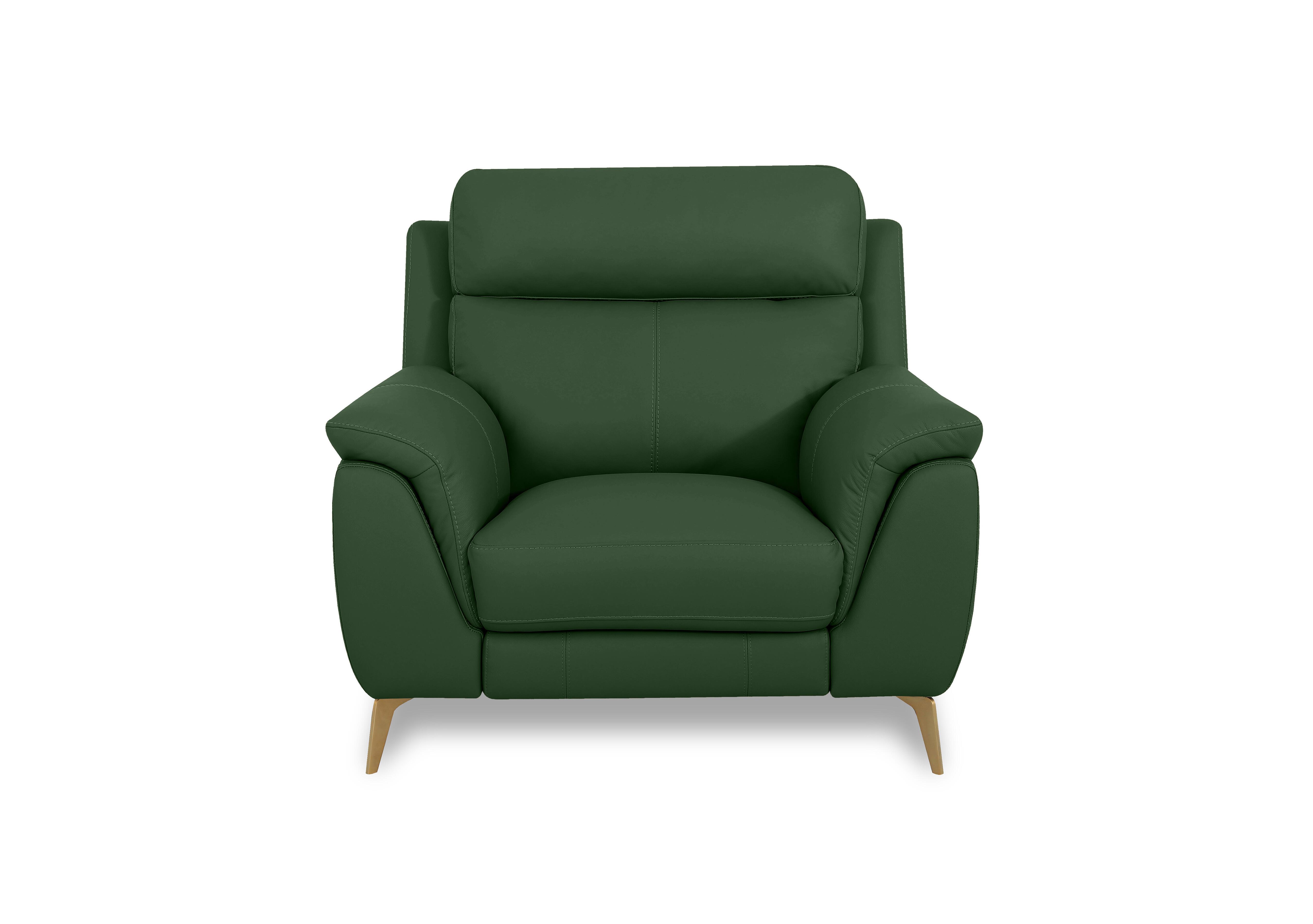 Eclipse Leather Chair in Nw-371e Chive Green Br on Furniture Village