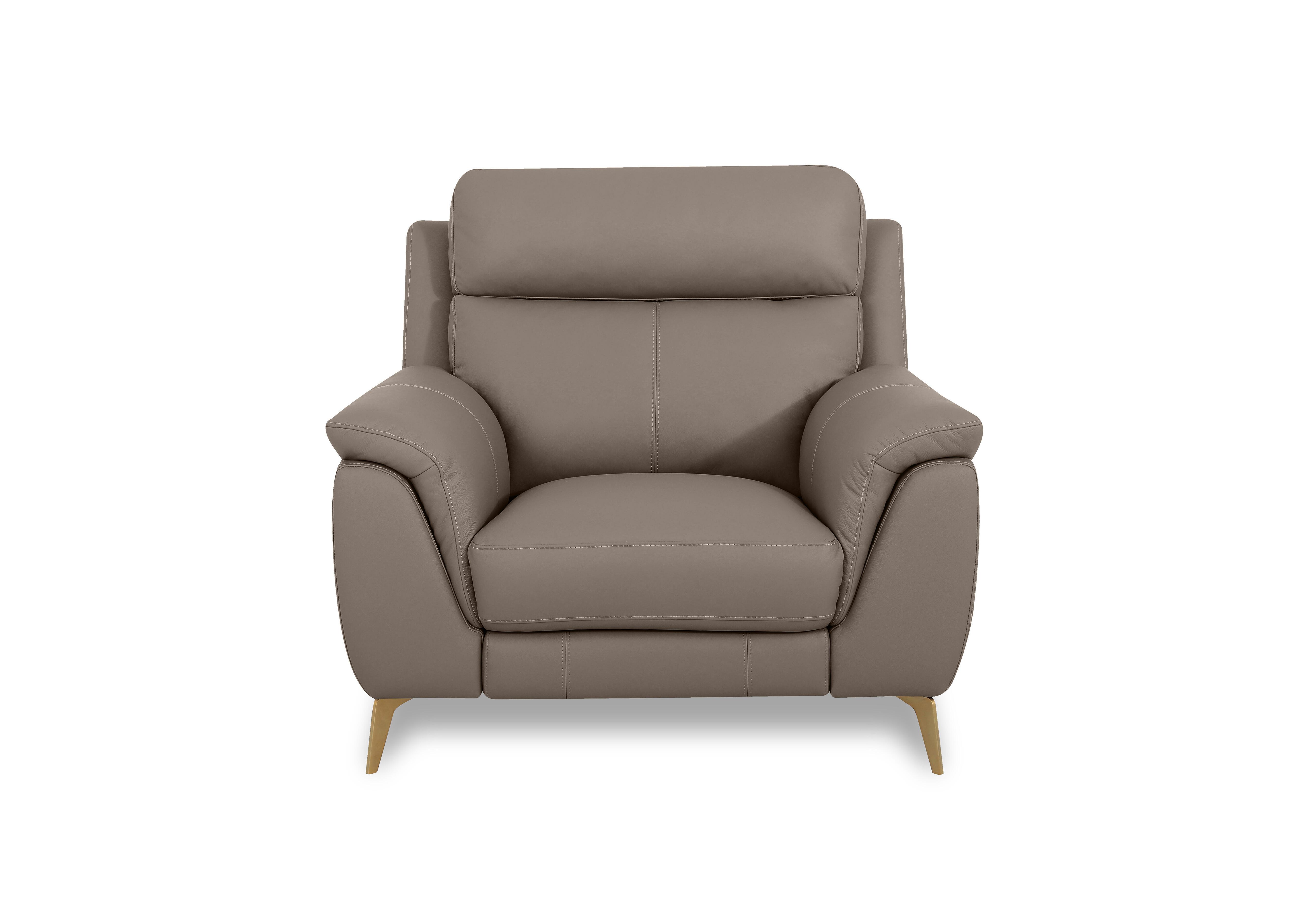 Eclipse Leather Chair in Nw-513e Pine Bark Br on Furniture Village