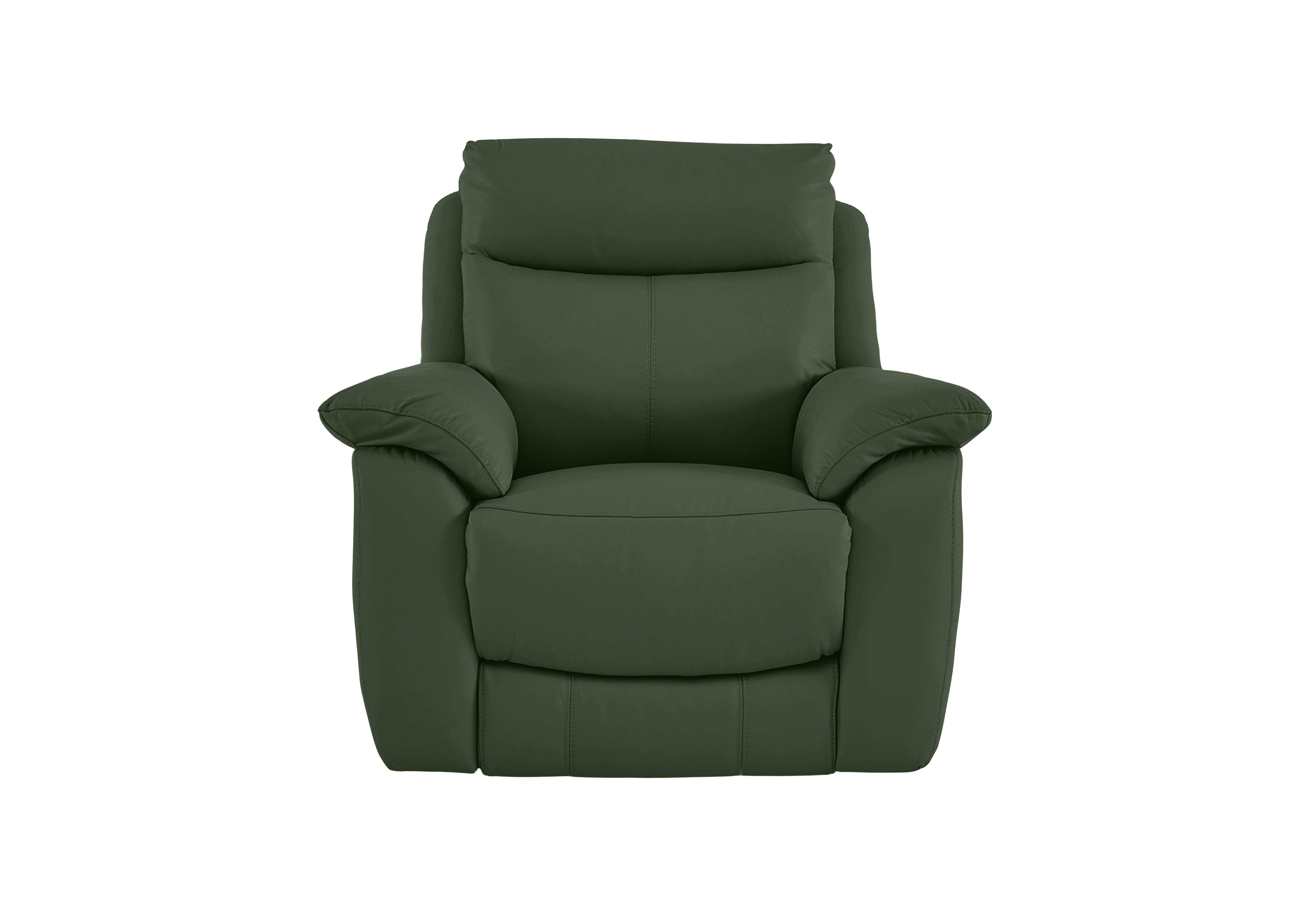 Echo Leather Armchair in Bv-371e Chive Green on Furniture Village