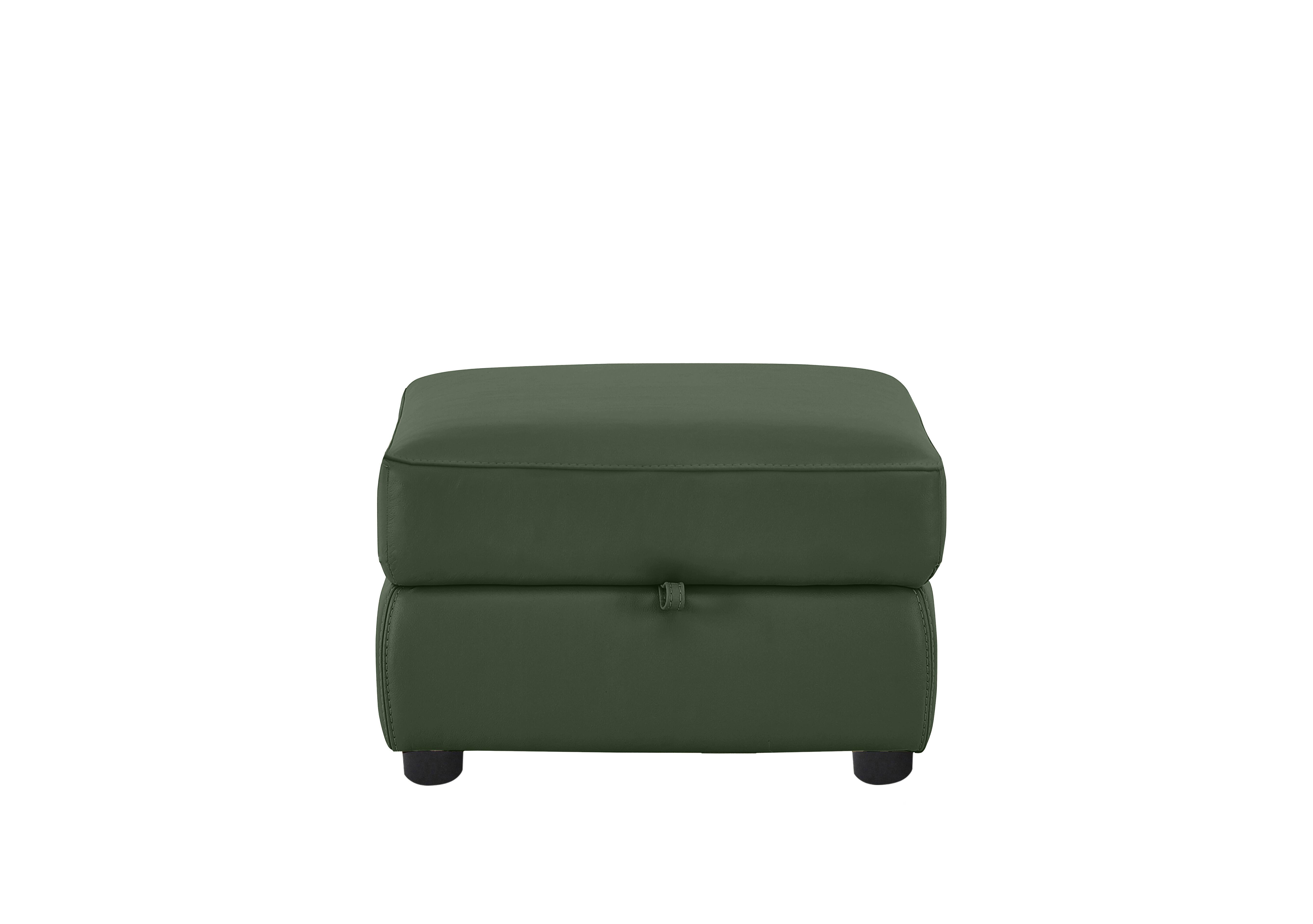Echo Leather Storage Footstool in Bv-371e Chive Green on Furniture Village