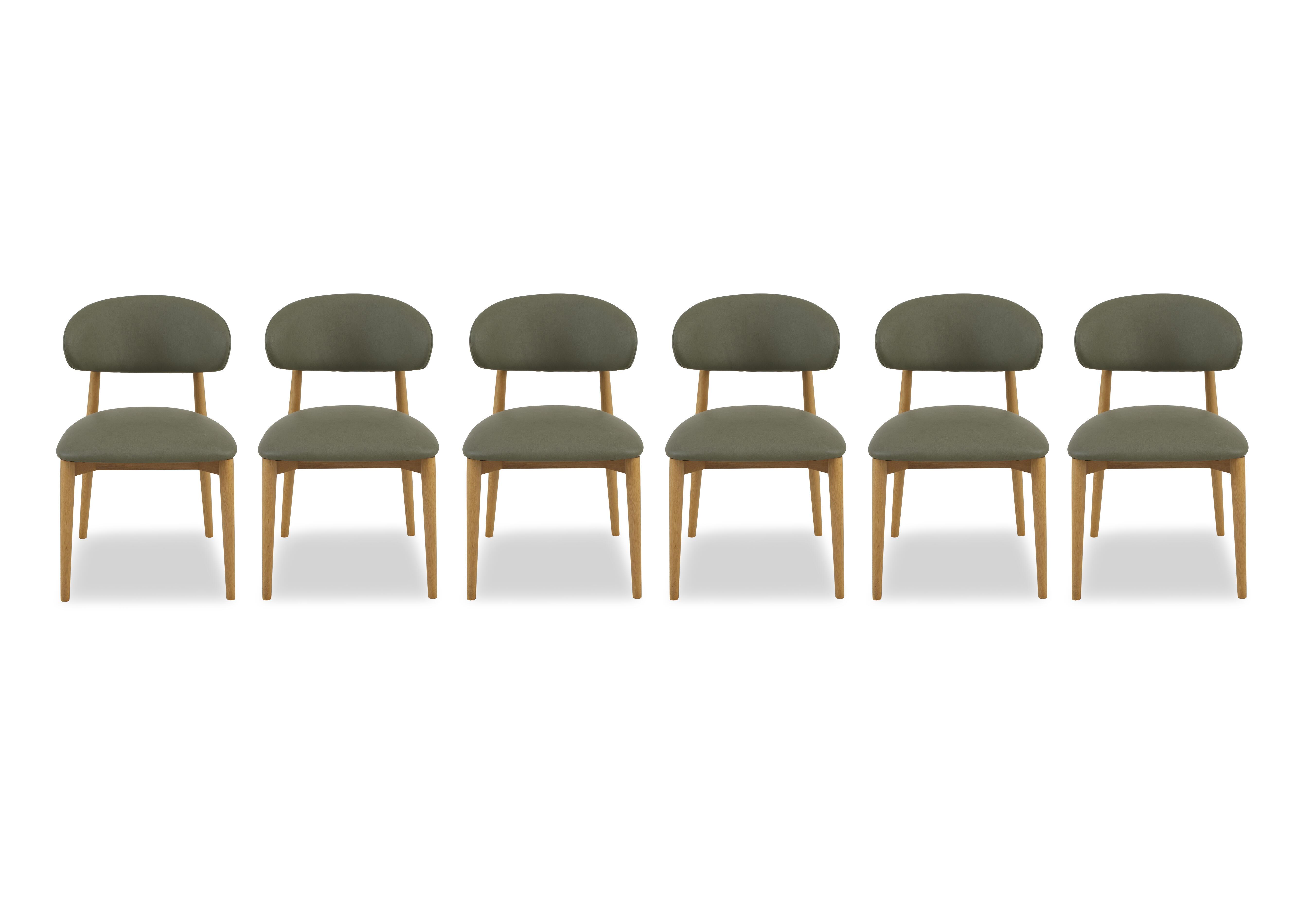 Riga Set of 6 Wooden Dining Chairs in Green on Furniture Village