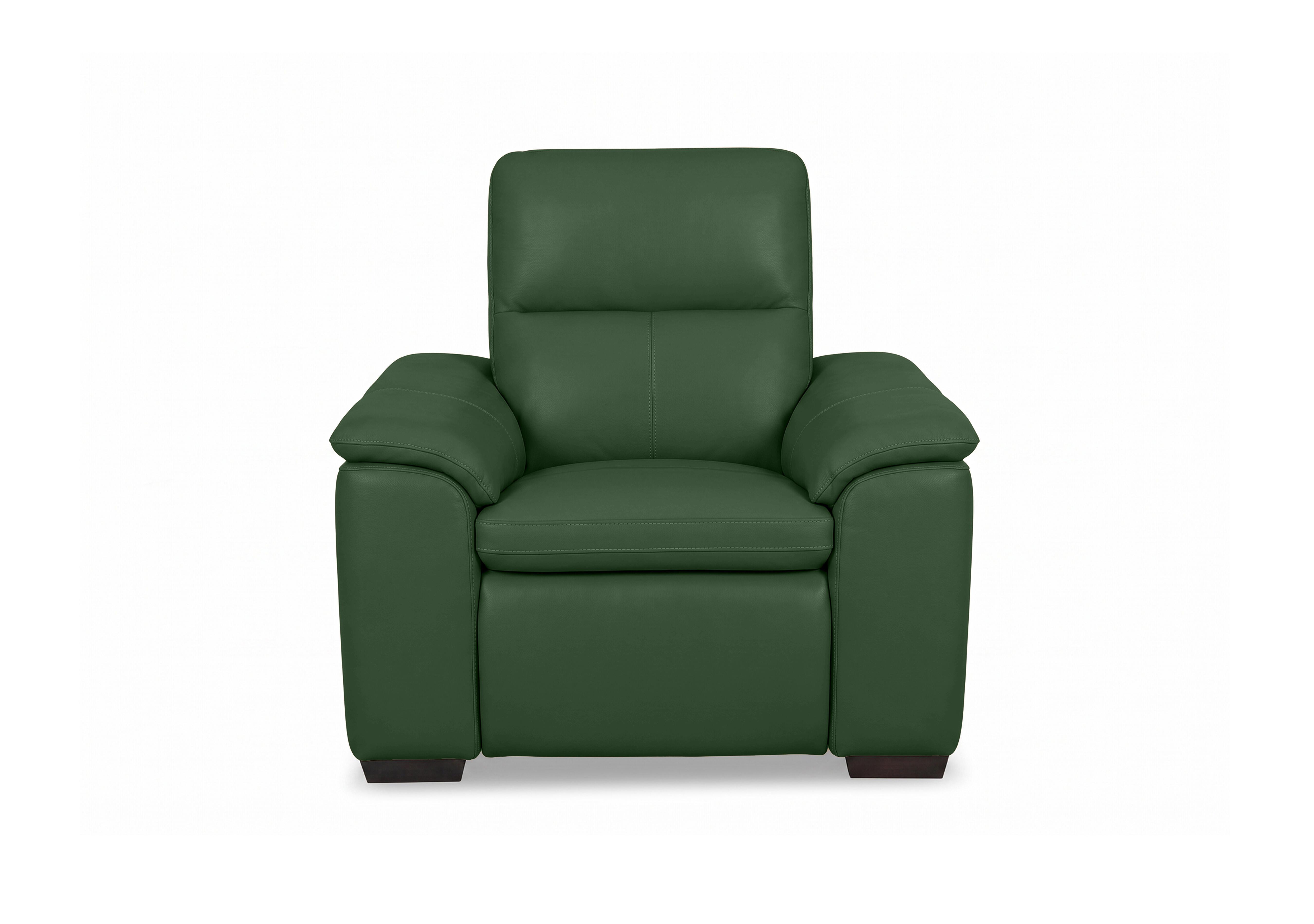 Relax Leather Power Recliner Armchair with Power Headrest in Nw-371e Chive Green on Furniture Village